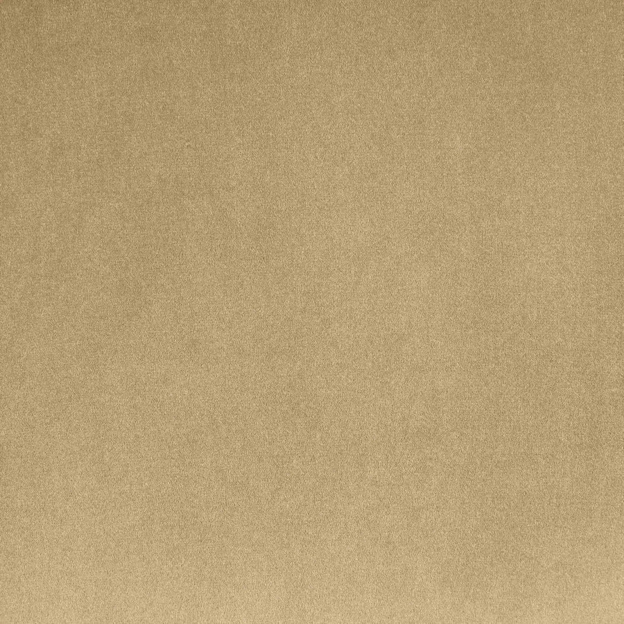 Emery 77" Velvet Upholstered Loveseat