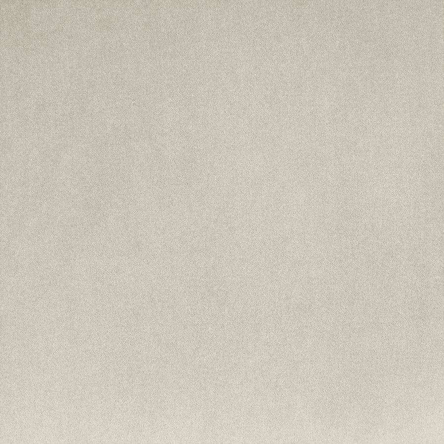 Emery 77" Velvet Upholstered Loveseat