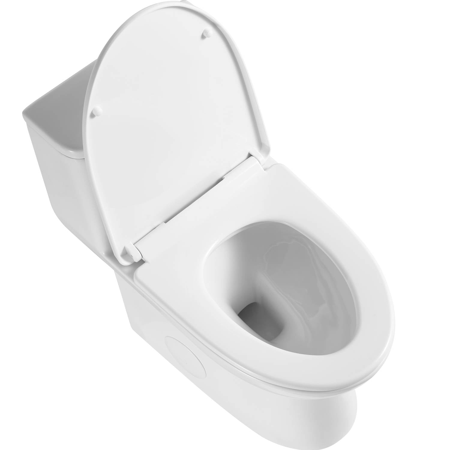 Blossom One Piece Toilet T9 03 – ADA Height Dual Flush Nano Glaze Design