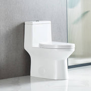 Blossom One Piece Toilet T9 04 – ADA Height Dual Flush Modern Design