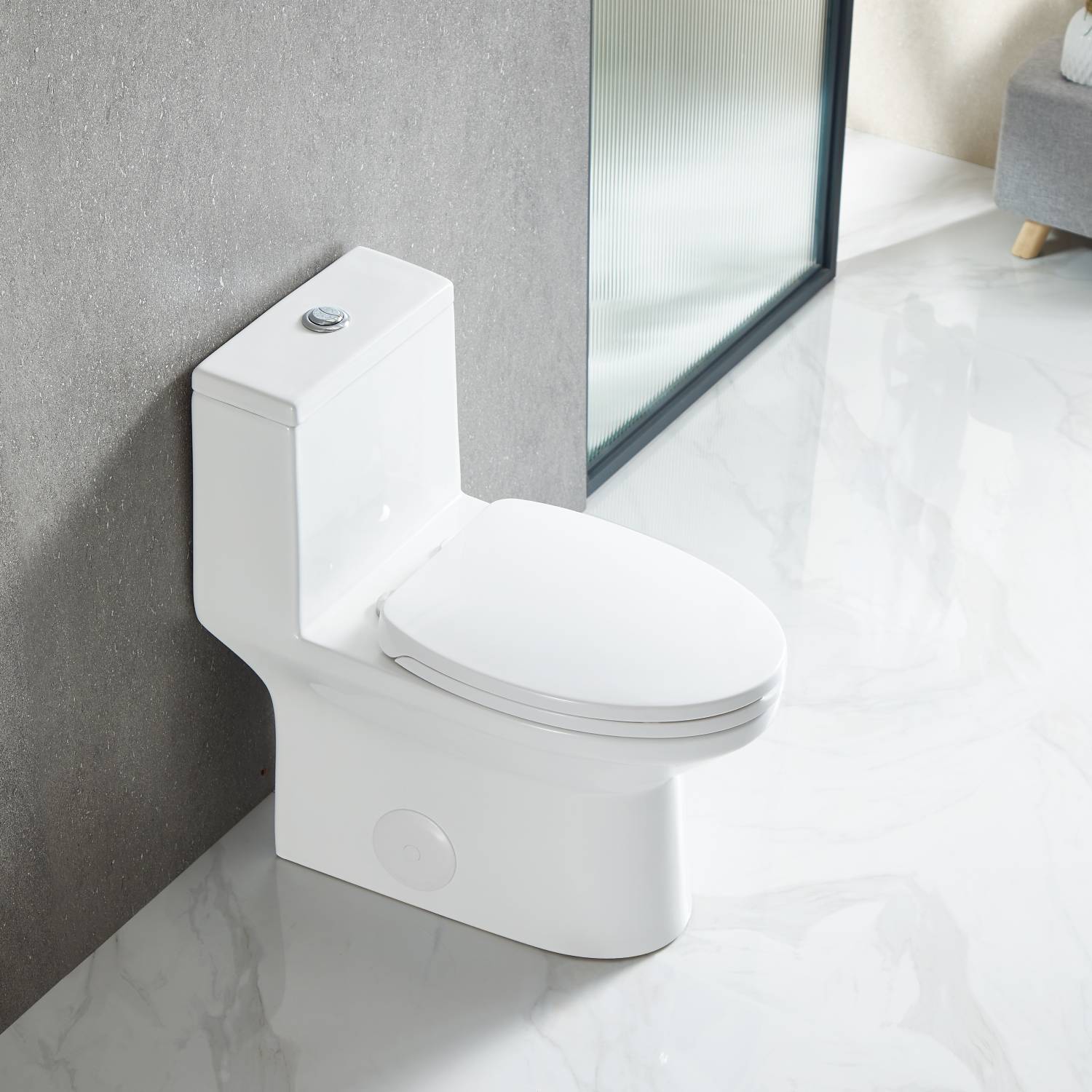 Blossom One Piece Toilet T9 04 – ADA Height Dual Flush Modern Design