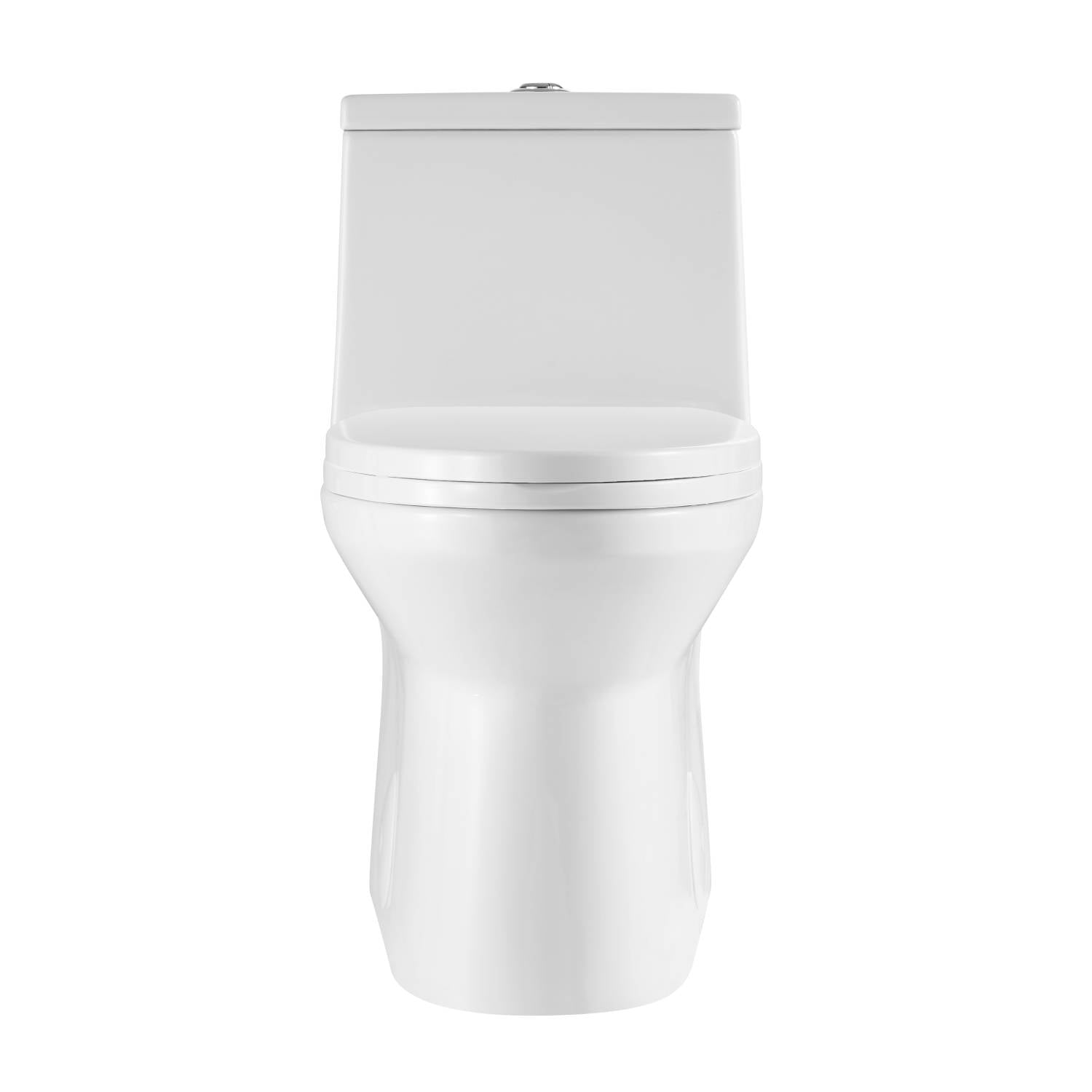Blossom One Piece Toilet T9 04 – ADA Height Dual Flush Modern Design