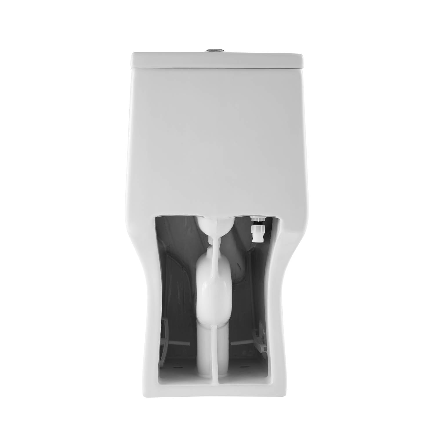 Blossom One Piece Toilet T9 04 – ADA Height Dual Flush Modern Design