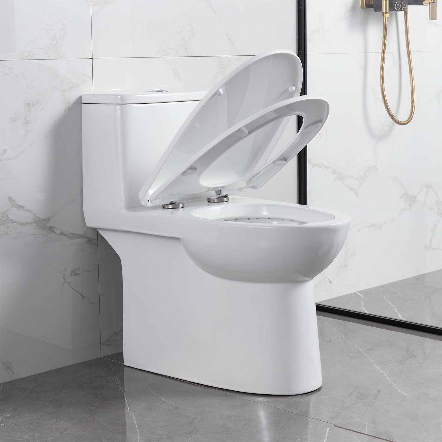Blossom One Piece Toilet T9 03 – ADA Height Dual Flush Nano Glaze Design