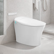 Blossom Smart Toilet ST09 03