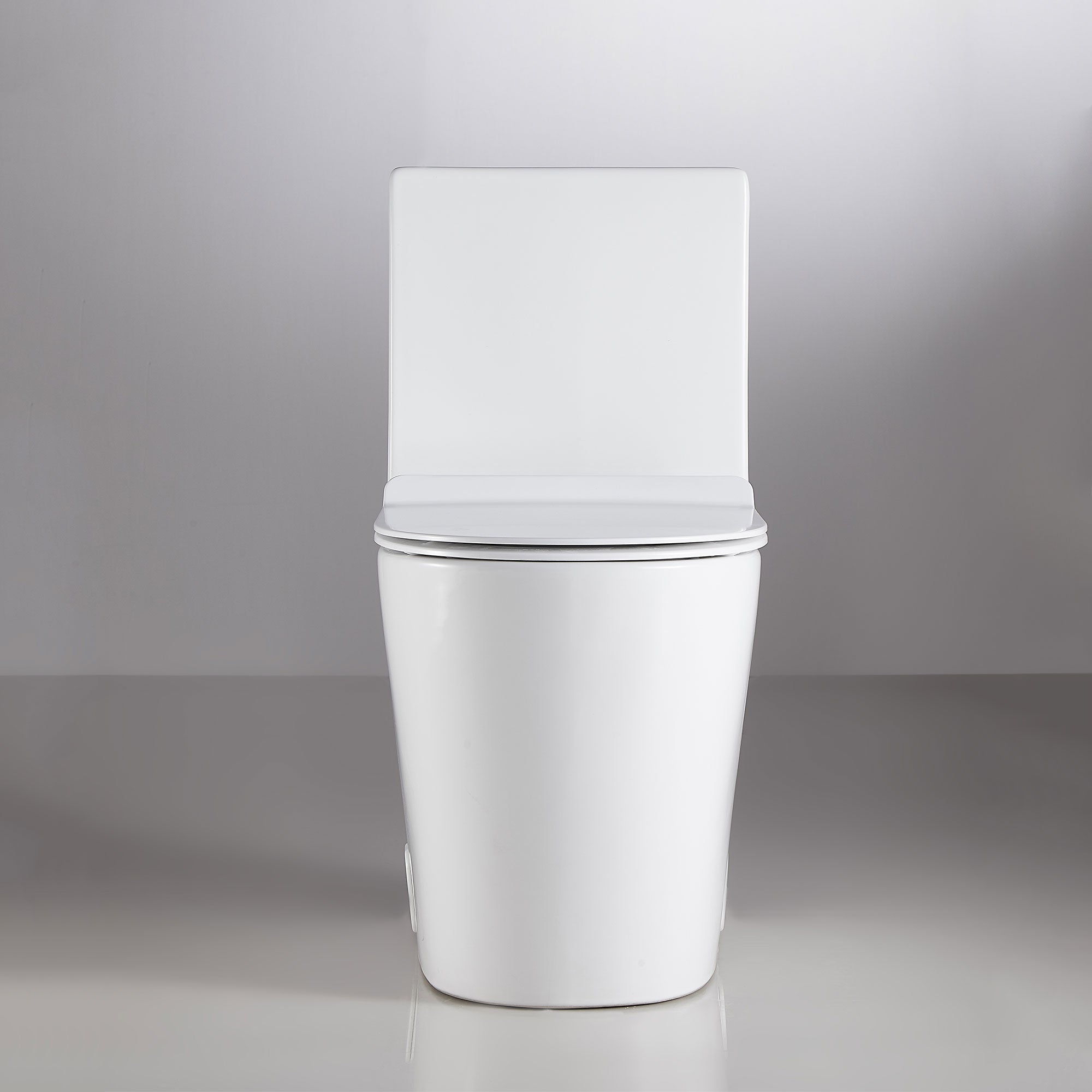 Siphonic One Piece Toilet - 091 2816 01