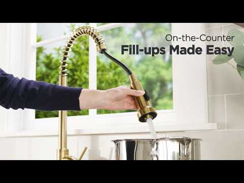 Parma® Single Handle Pre-Rinse Pull-Down Kitchen Faucet