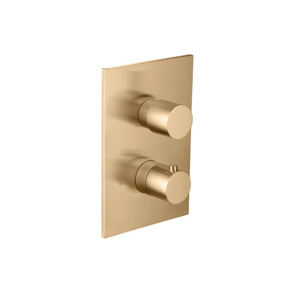 Flusso 100.4420 3/4 " Thermostatic Valve & Trim - With 2-Way Diverter - 2 Output
