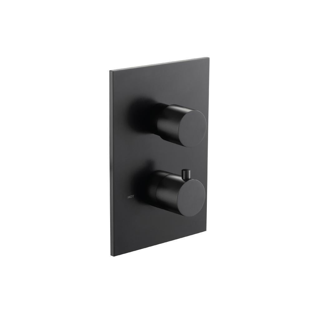 Flusso 100.4420 3/4 " Thermostatic Valve & Trim - With 2-Way Diverter - 2 Output