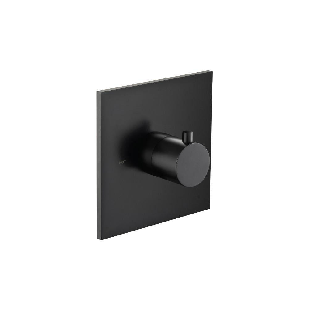 Flusso 100.4201T Trim For 3/4" Thermostatic Valve - Use with TVH.4201