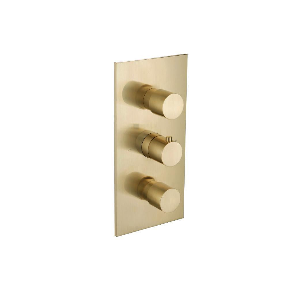 Flusso 100.4401 3/4" Thermostatic Valve and Trim - 2 Outputs