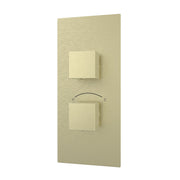 MAIDSTONE Thermostatic Valve - 2 Square Handles