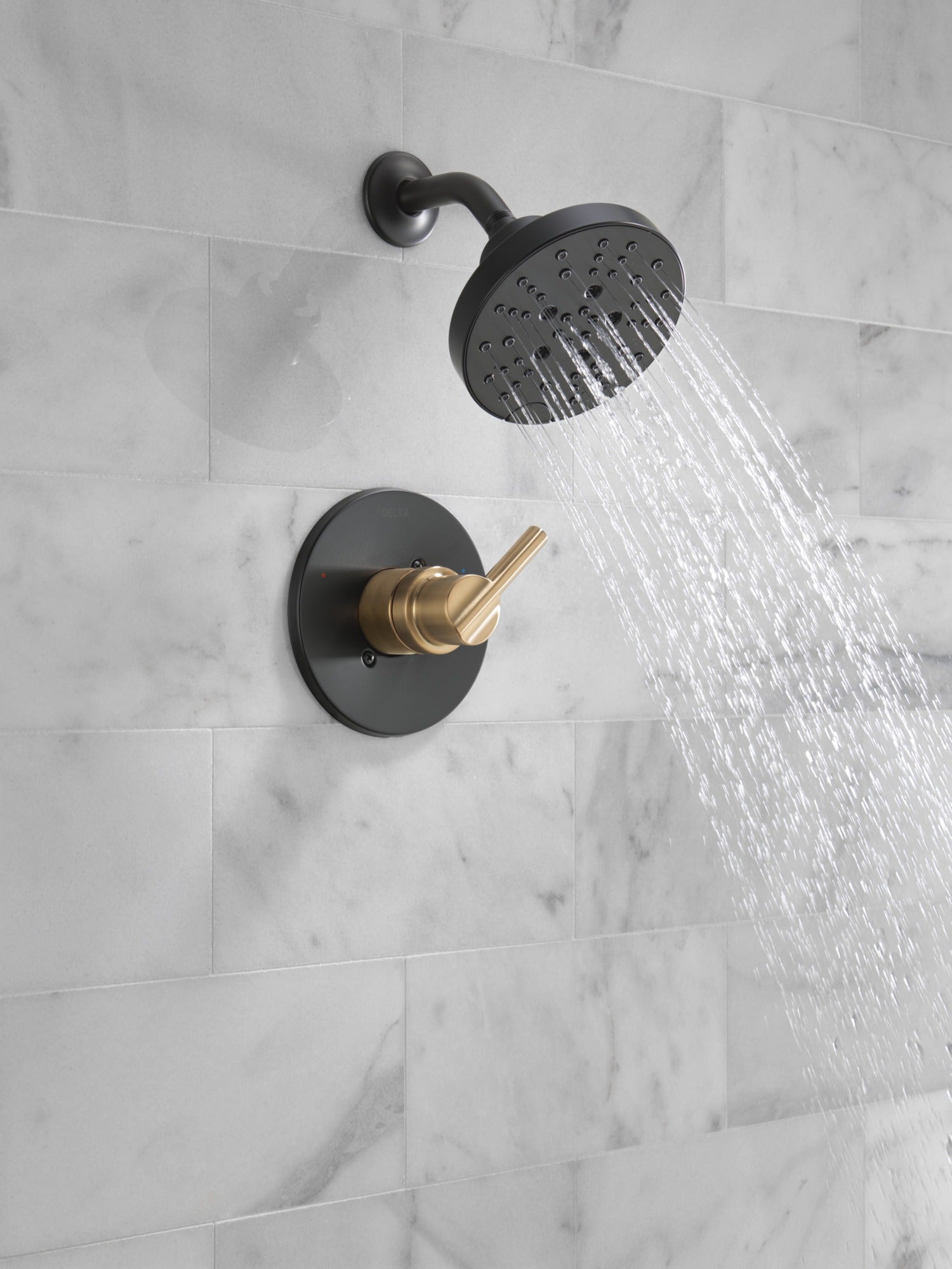 Delta Nicoli® Monitor® 14 Series H2Okinetic® Shower