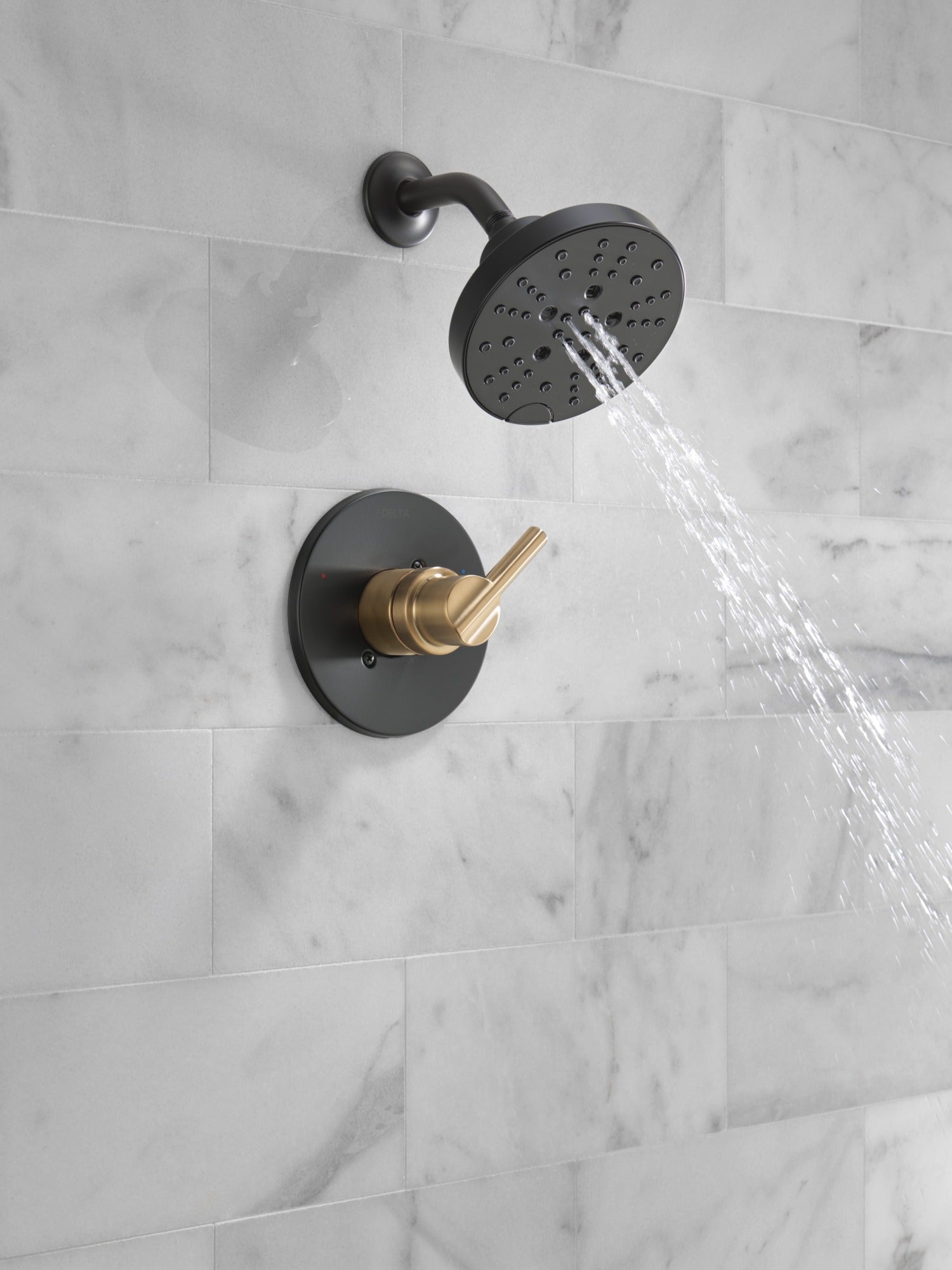 Delta Nicoli® Monitor® 14 Series H2Okinetic® Shower