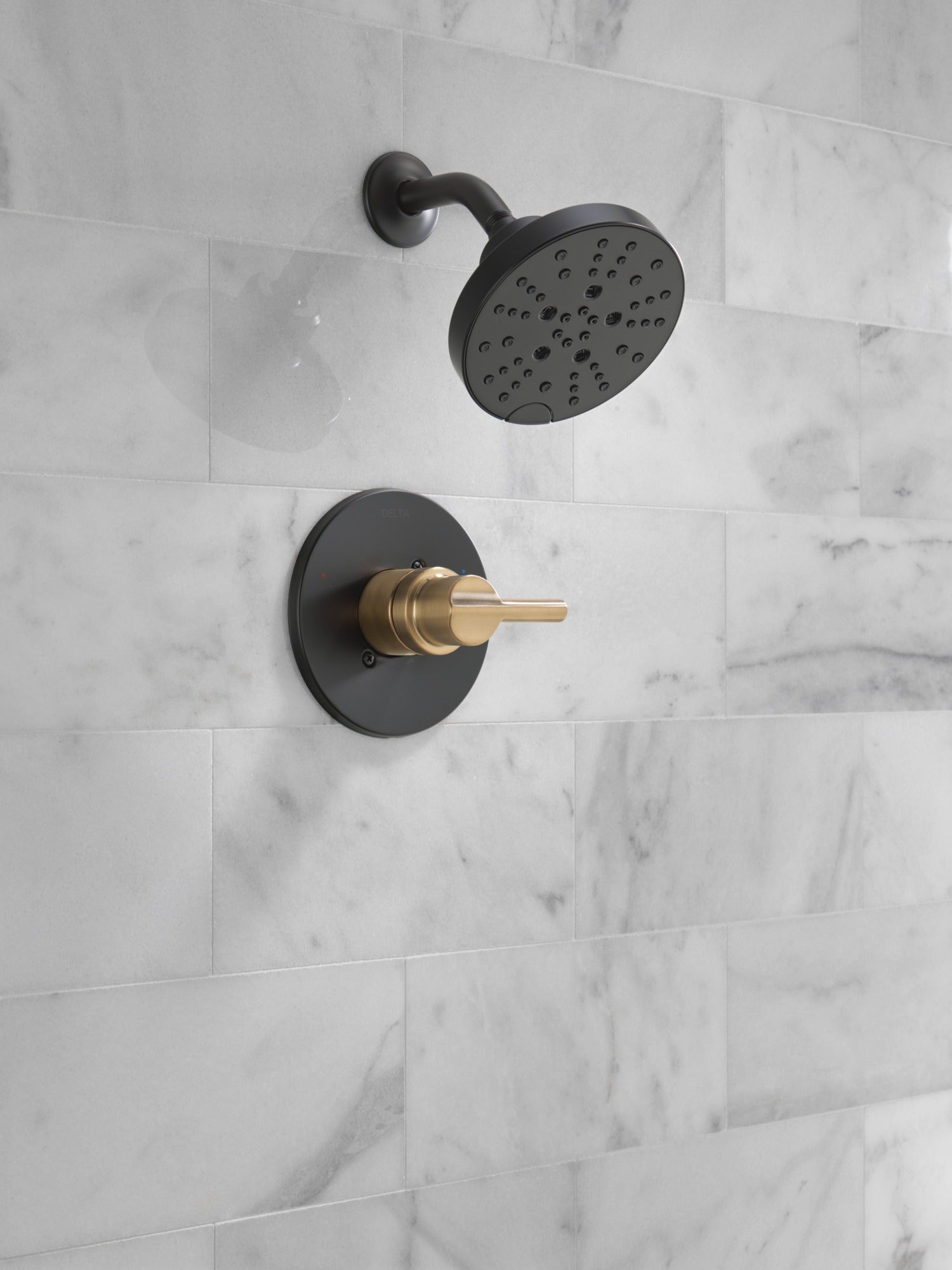 Delta Nicoli® Monitor® 14 Series H2Okinetic® Shower