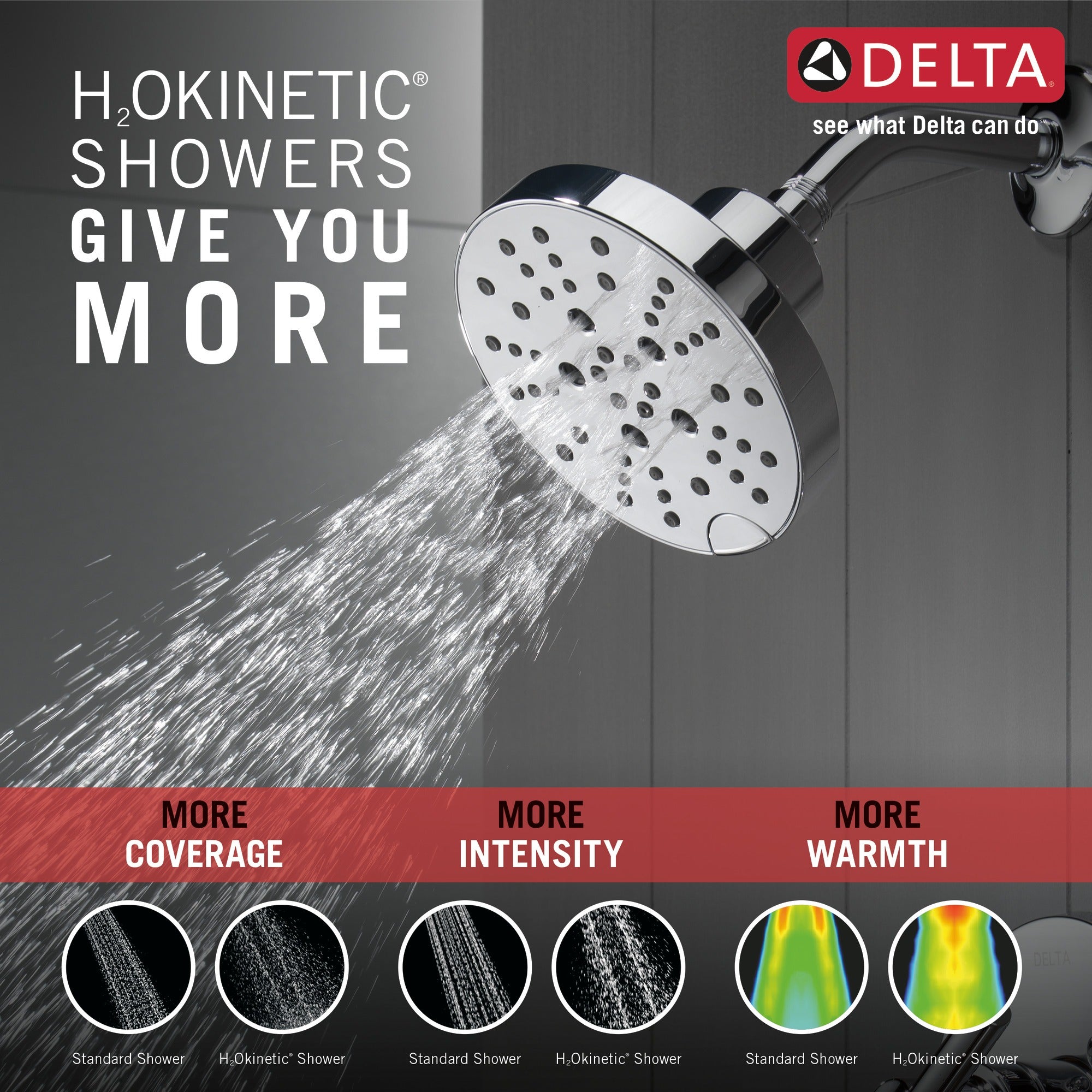 Delta Nicoli® Monitor® 14 Series H2Okinetic® Shower
