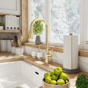 MAIDSTONE Kitchen Faucet With Pull Down Spring Spout