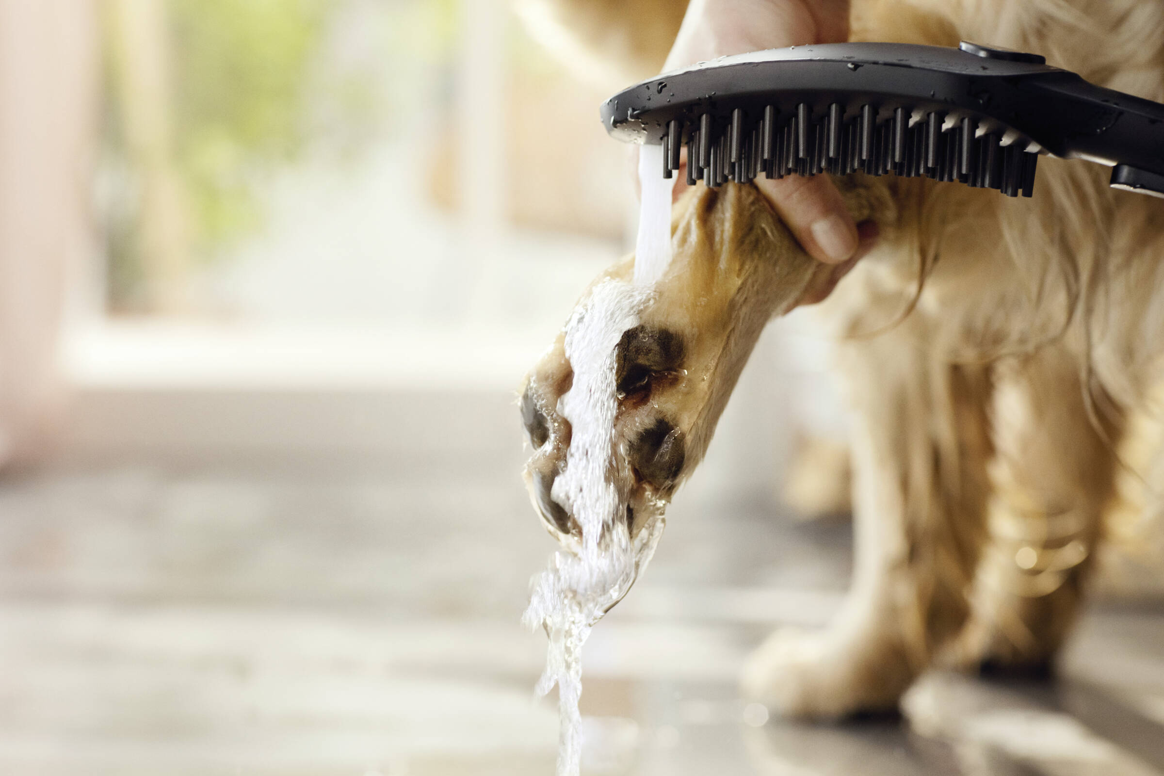 Dog Shower Dog Shower + Quick Connect, 3-Spray, 1.75 GPM