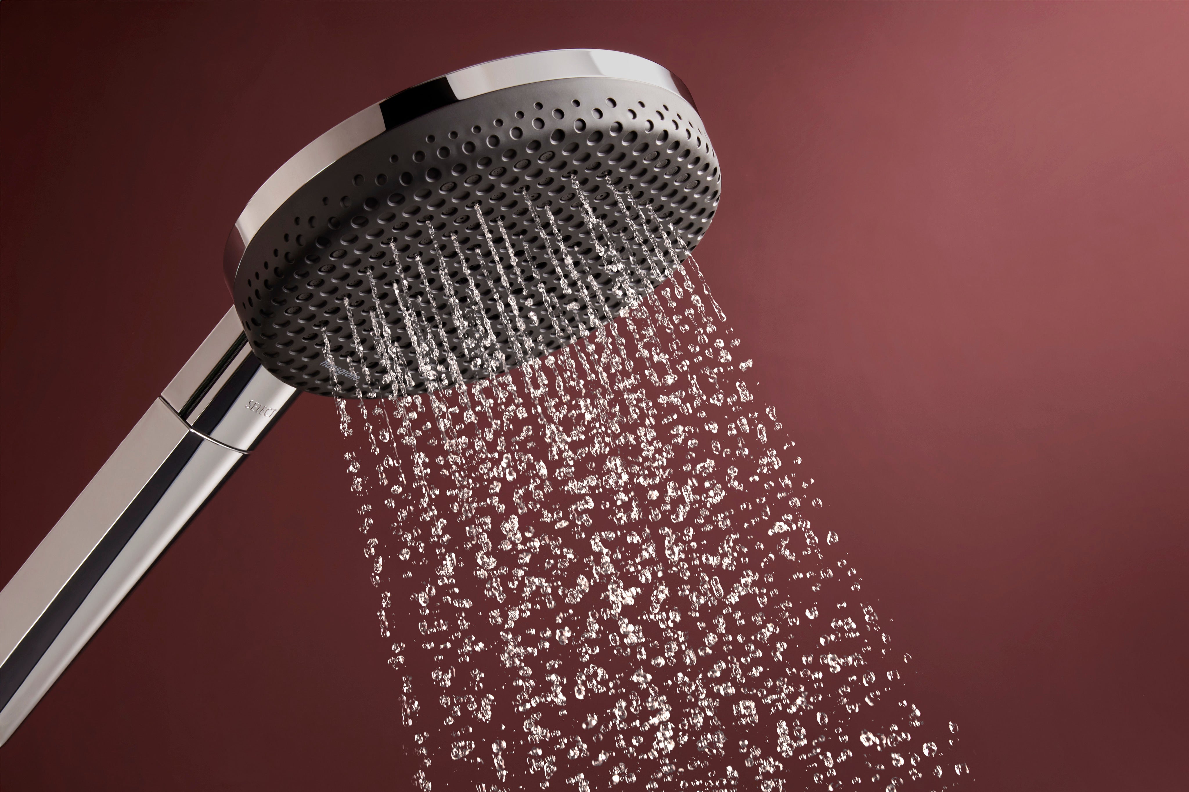 Hansgrohe Raindance Alive Select S Handshower 125  3-Jet 2.5 GPM