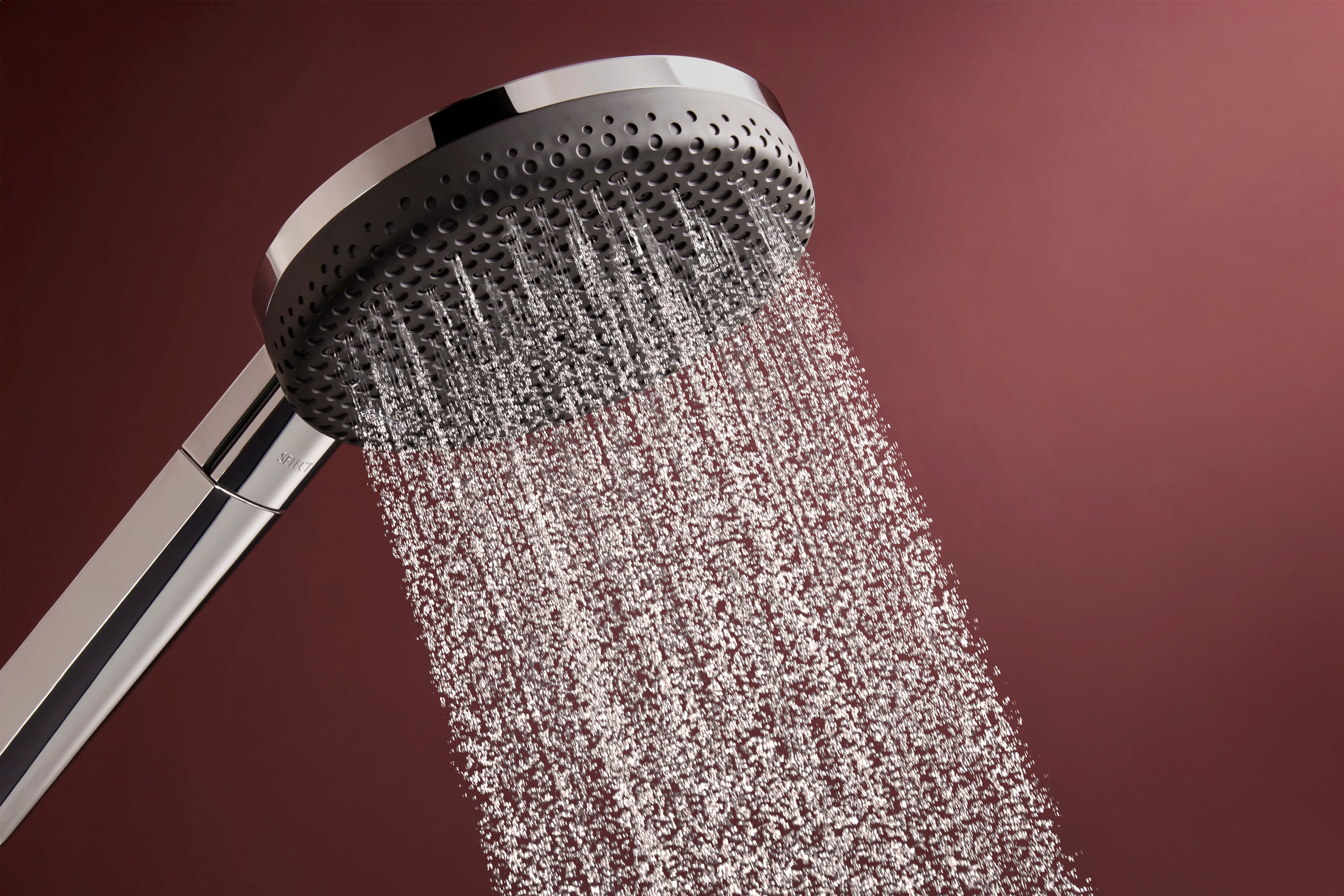 Hansgrohe Raindance Alive Select S Handshower 125  3-Jet 2.5 GPM