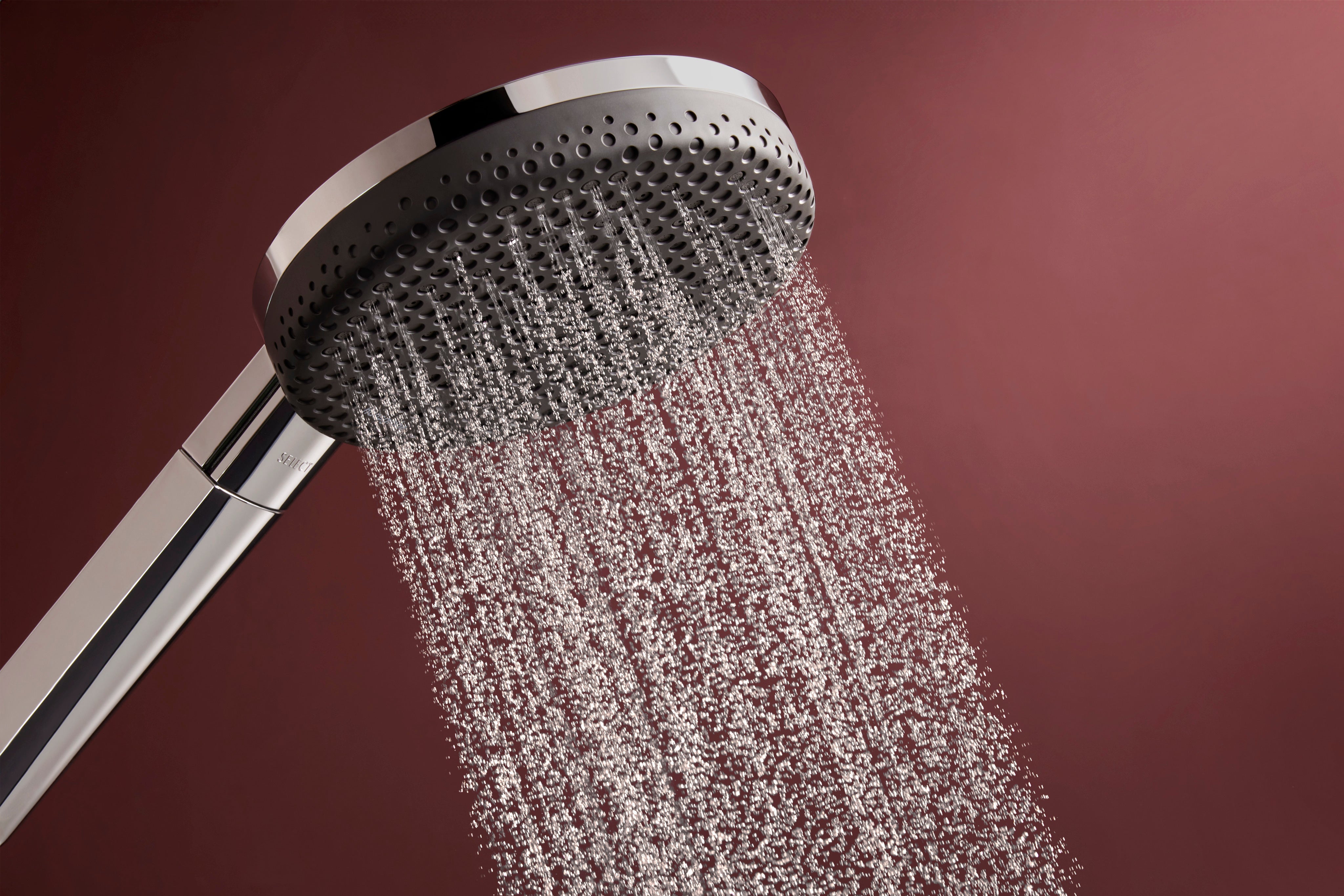 Hansgrohe Raindance Alive Select S Handshower 125  3-Jet 1.75 GPM