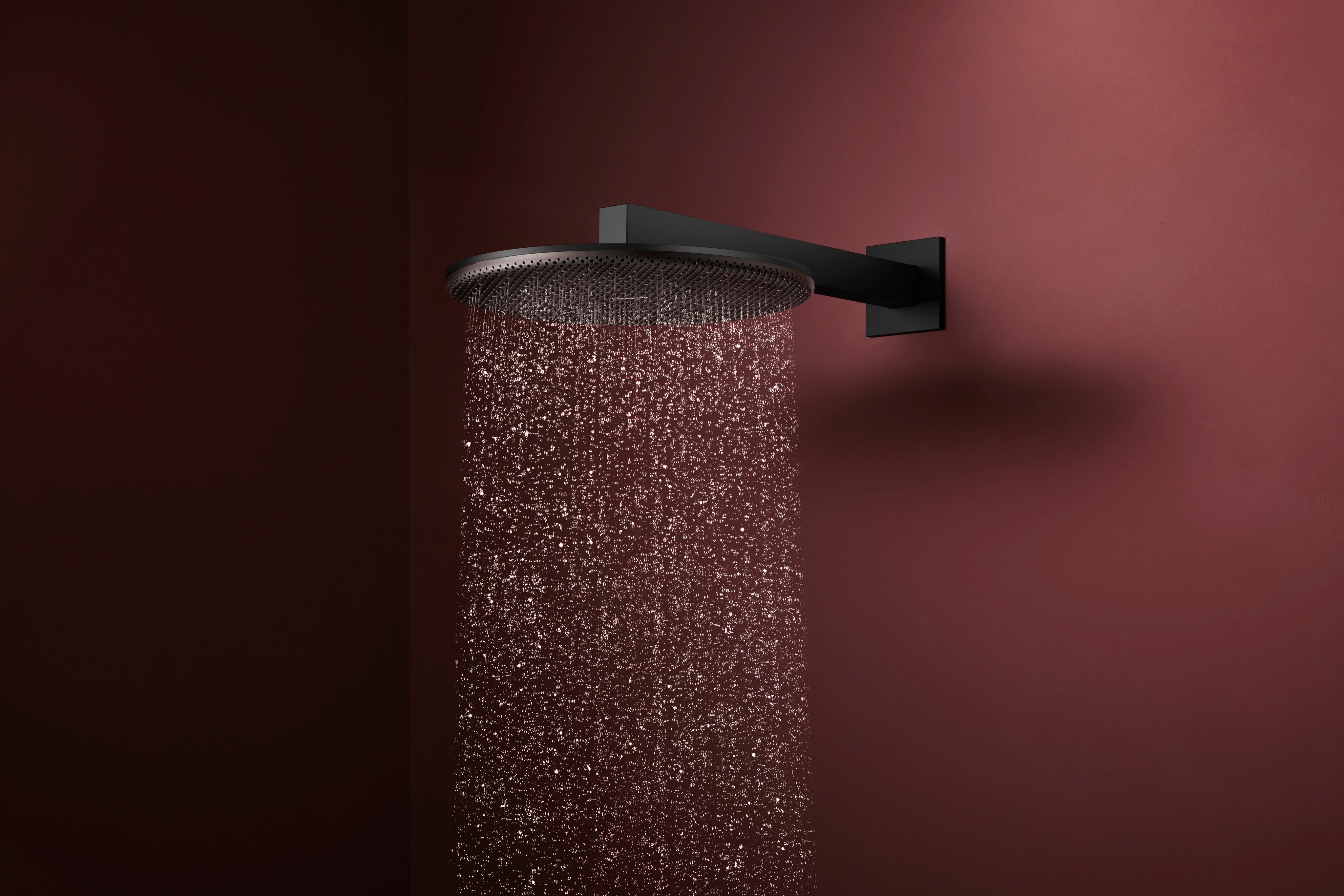 Hansgrohe Raindance Alive S Showerhead 300 1-Jet, 2.5 GPM