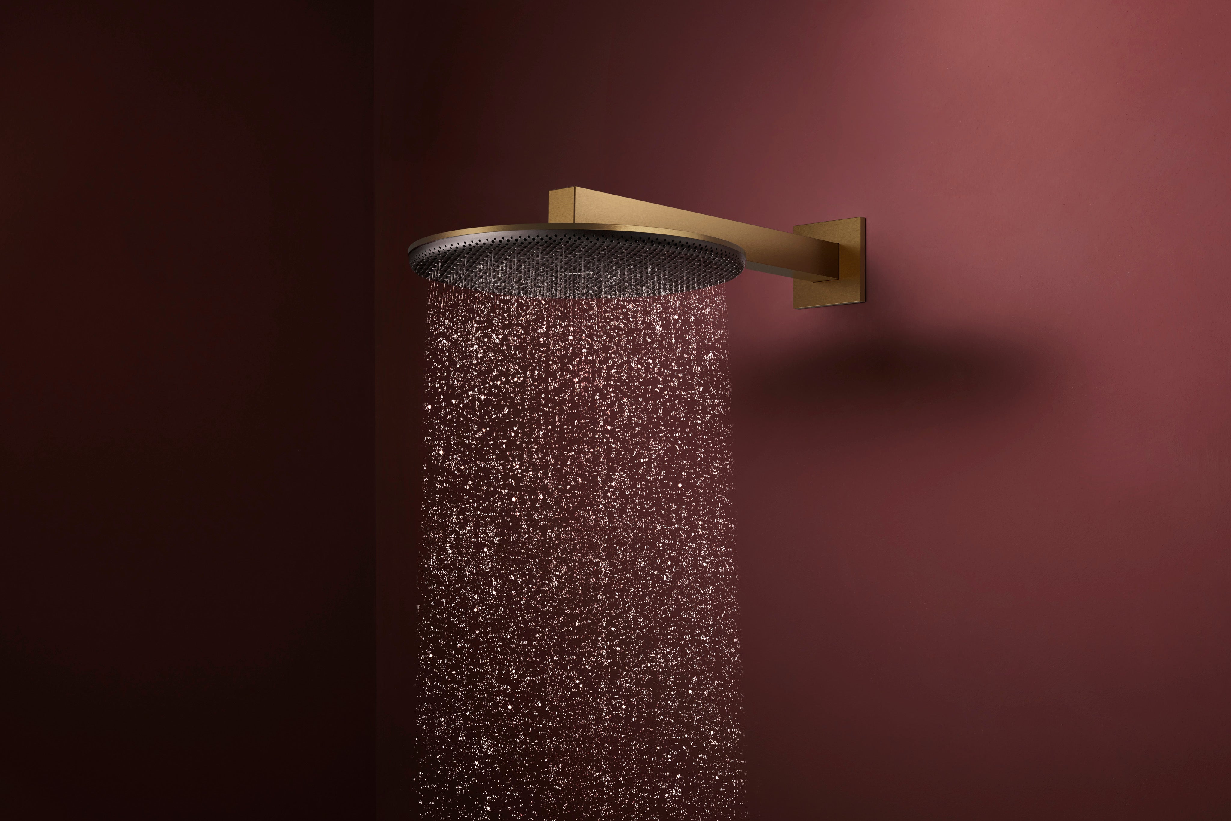 Hansgrohe Raindance Alive S Showerhead 300 2-Jet with Showerarm, 2.5 GPM