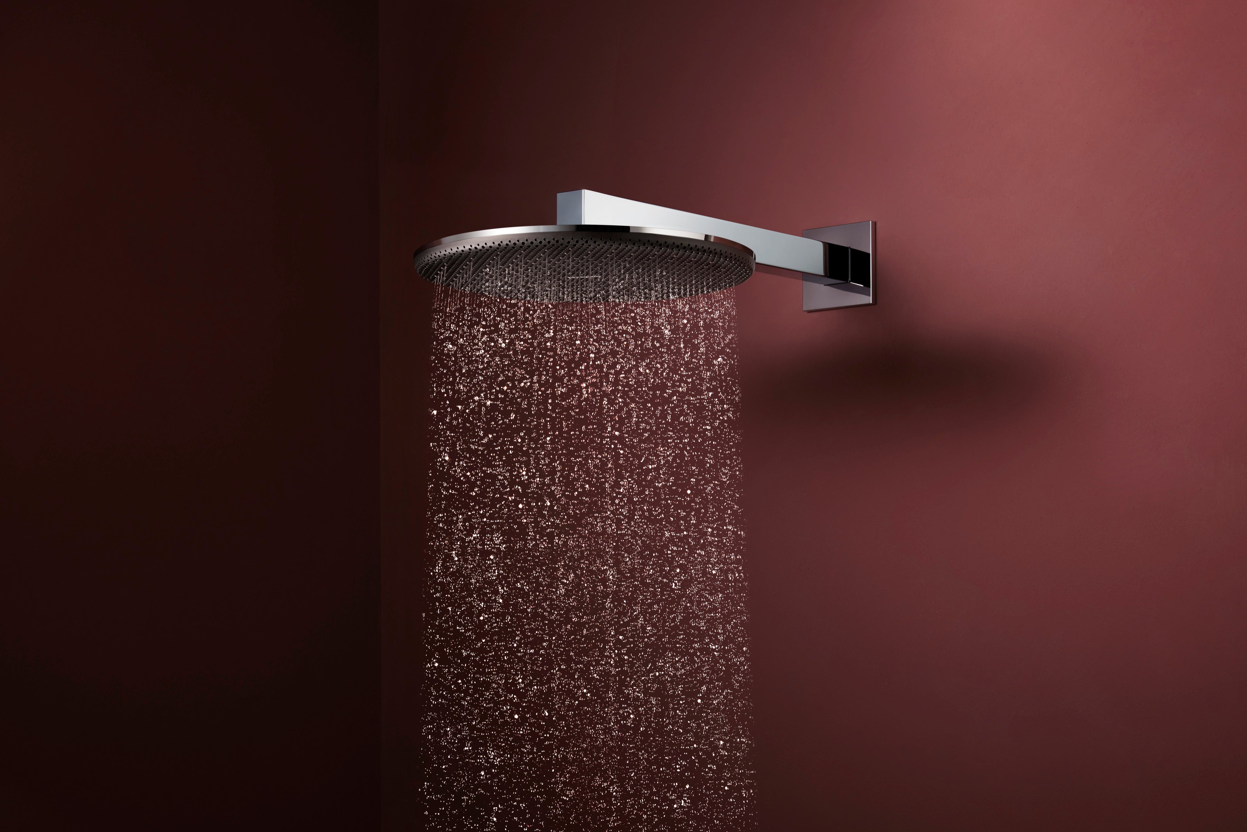 Hansgrohe Raindance Alive S Showerhead 300 2-Jet with Showerarm, 2.5 GPM