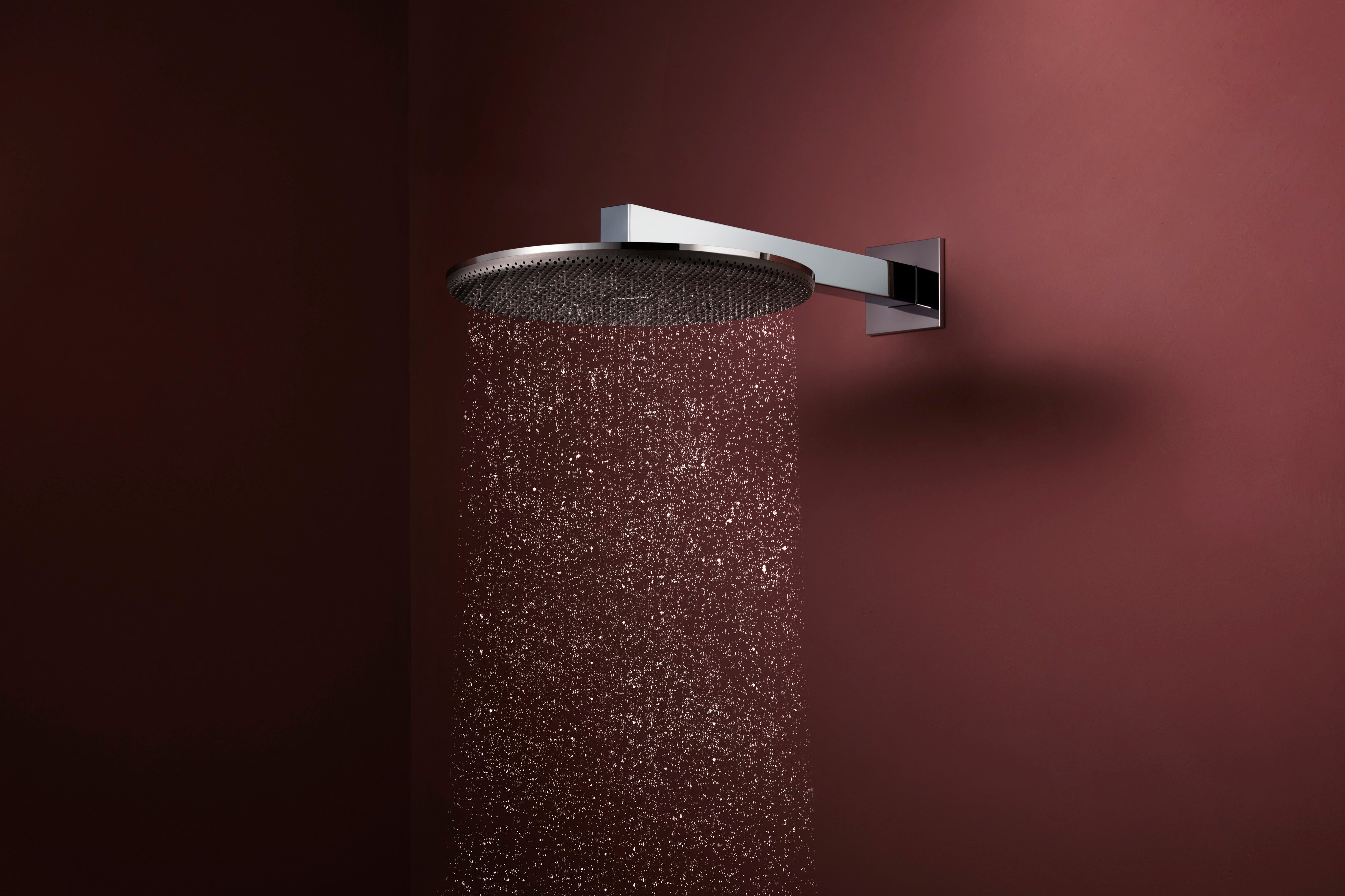 Hansgrohe Raindance Alive S Showerhead 300 2-Jet with Showerarm, 1.75 GPM