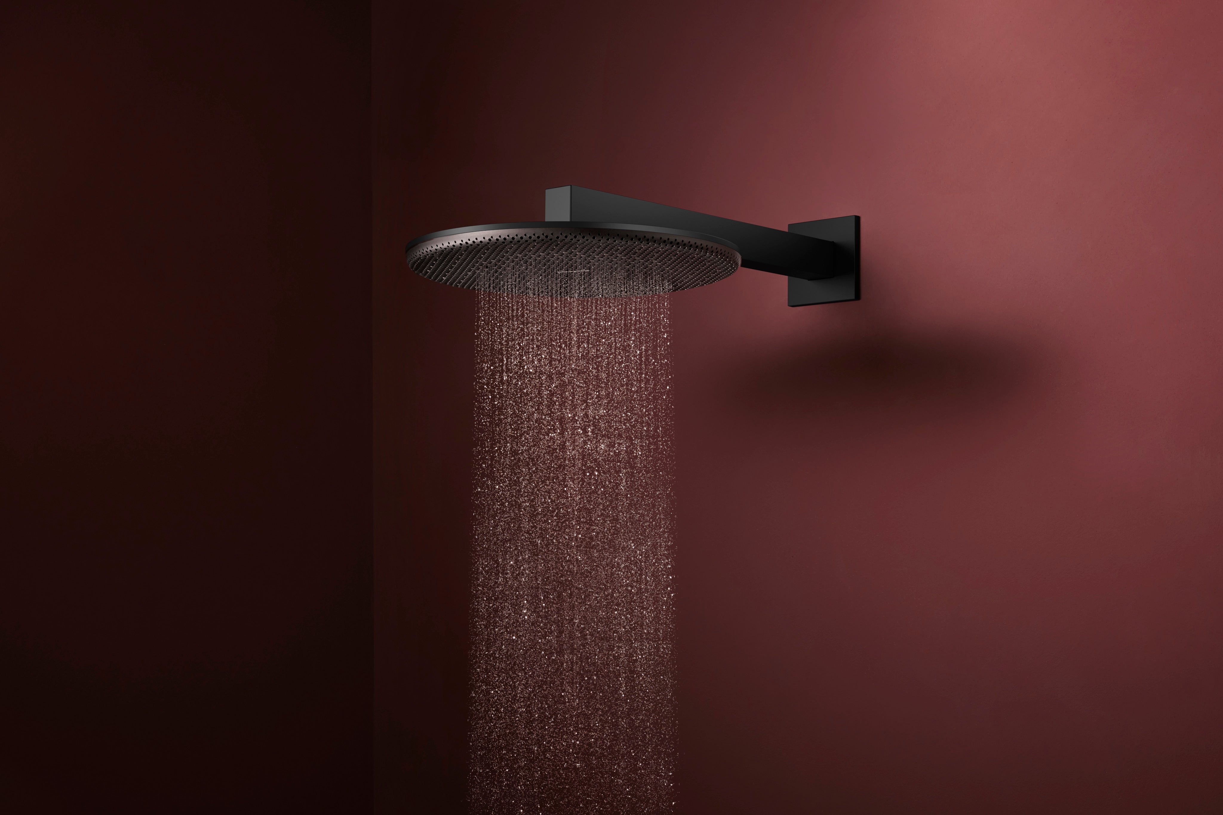 Hansgrohe Raindance Alive S Showerhead 300 2-Jet with Showerarm, 2.5 GPM