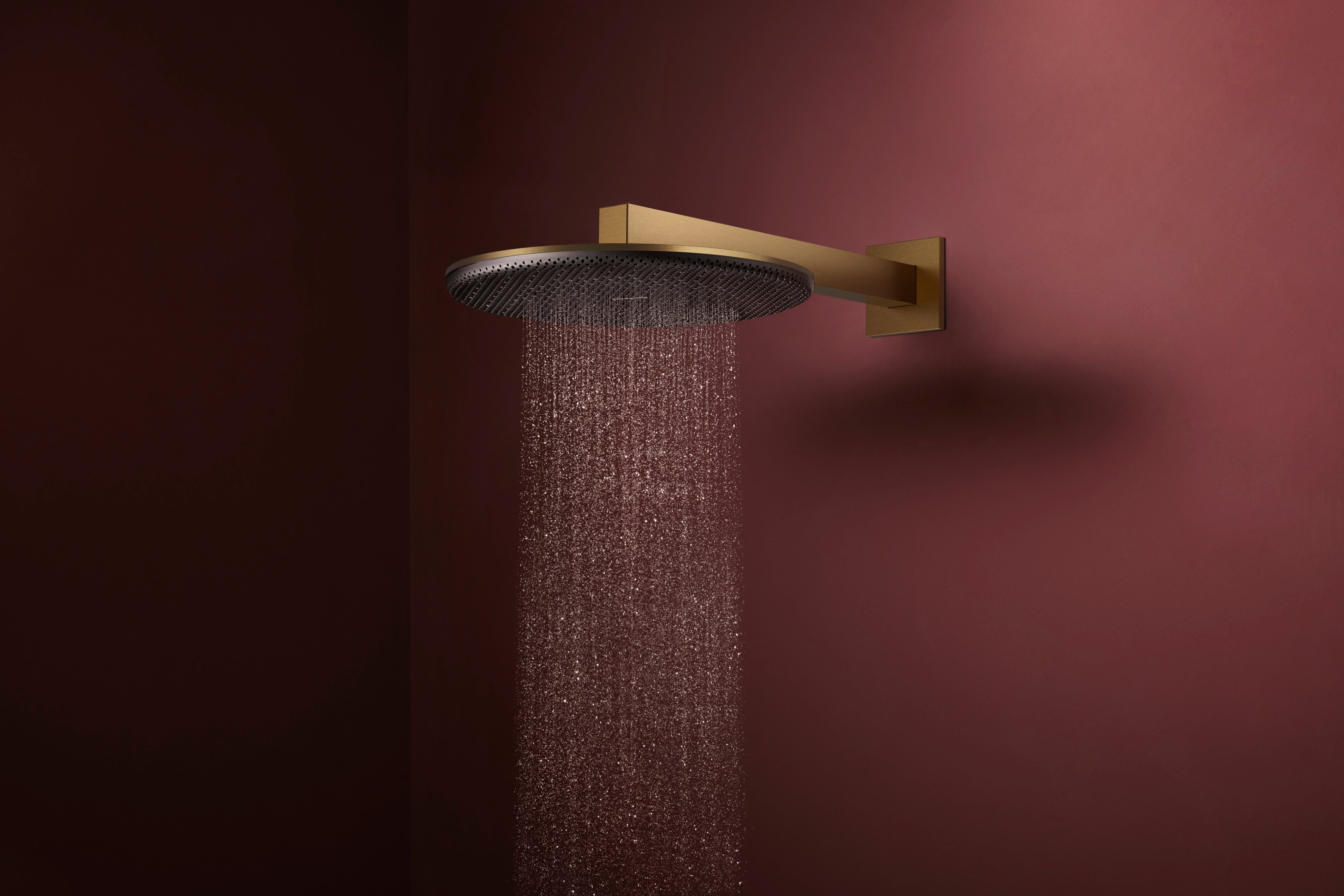 Hansgrohe Raindance Alive S Showerhead 300 2-Jet with Showerarm, 2.5 GPM
