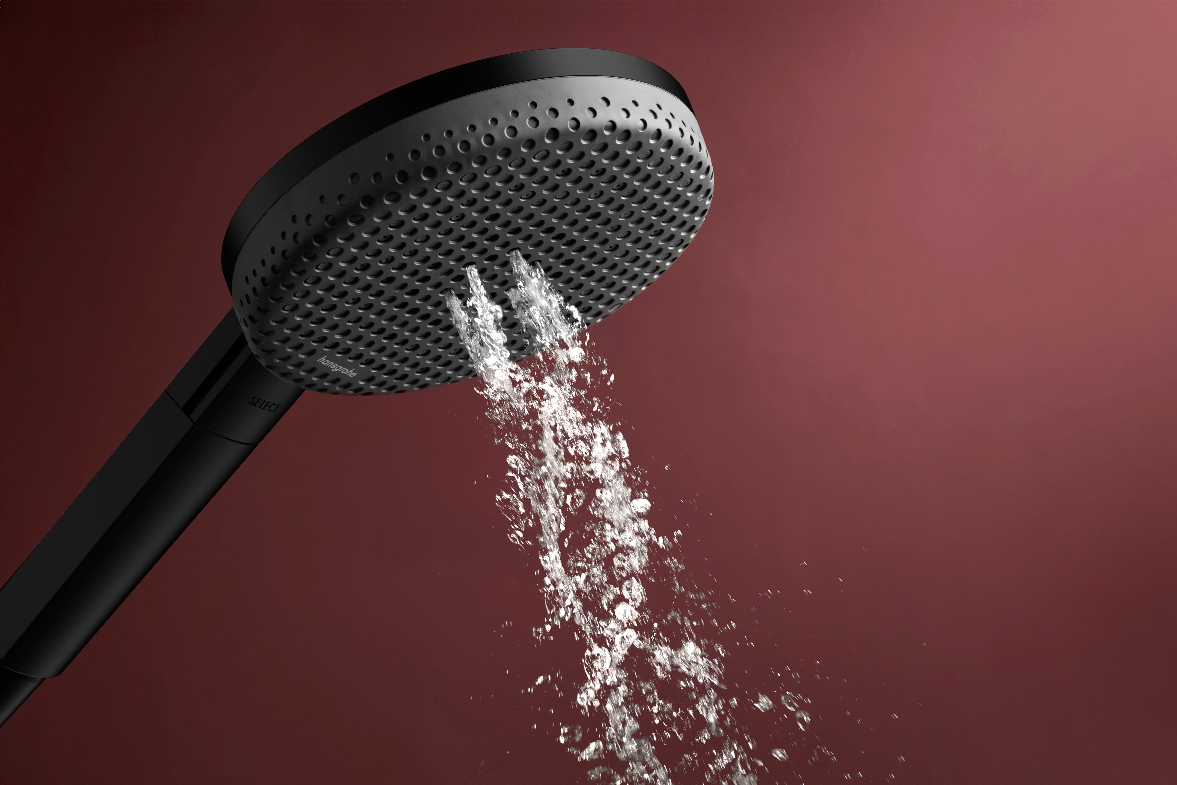 Hansgrohe Raindance Alive Select S Handshower 125  3-Jet 1.75 GPM
