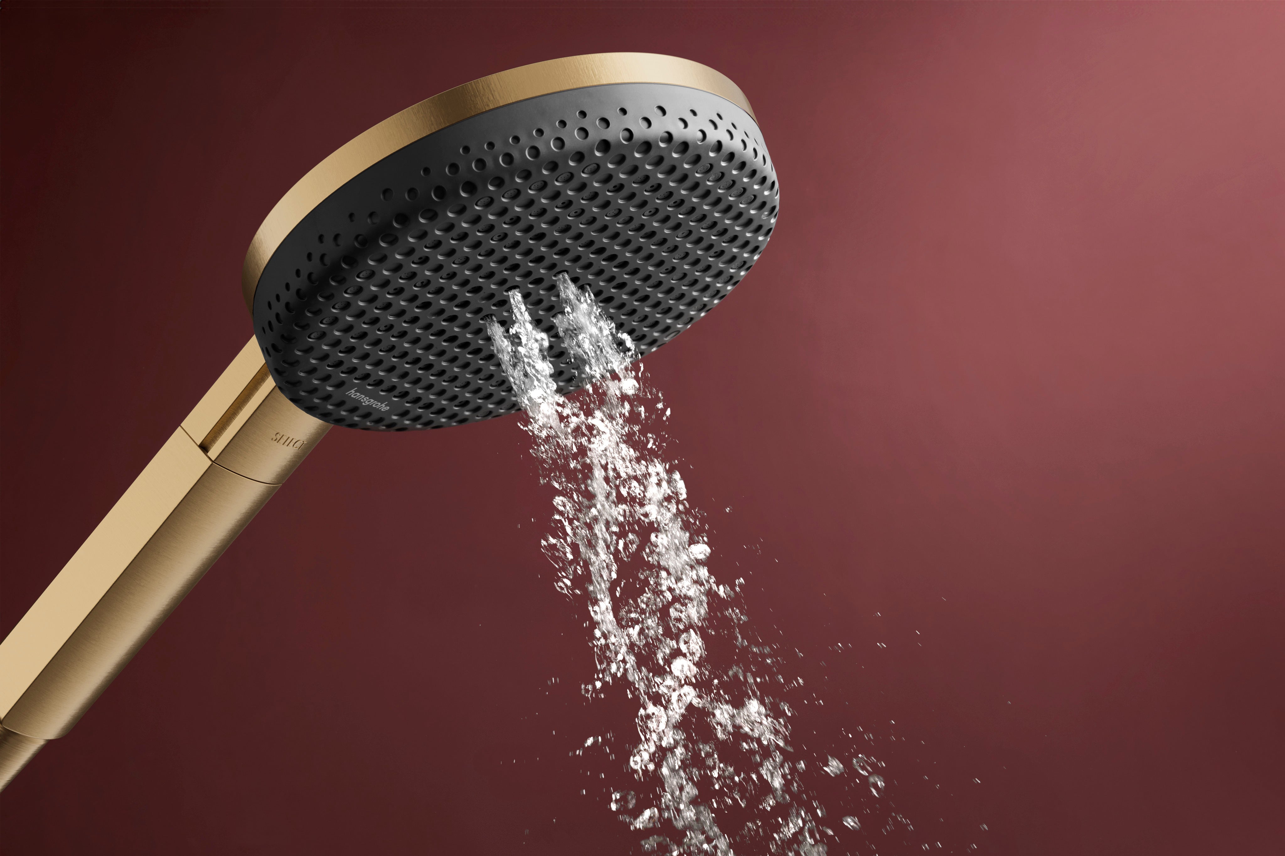 Hansgrohe Raindance Alive Select S Handshower 125  3-Jet 1.75 GPM