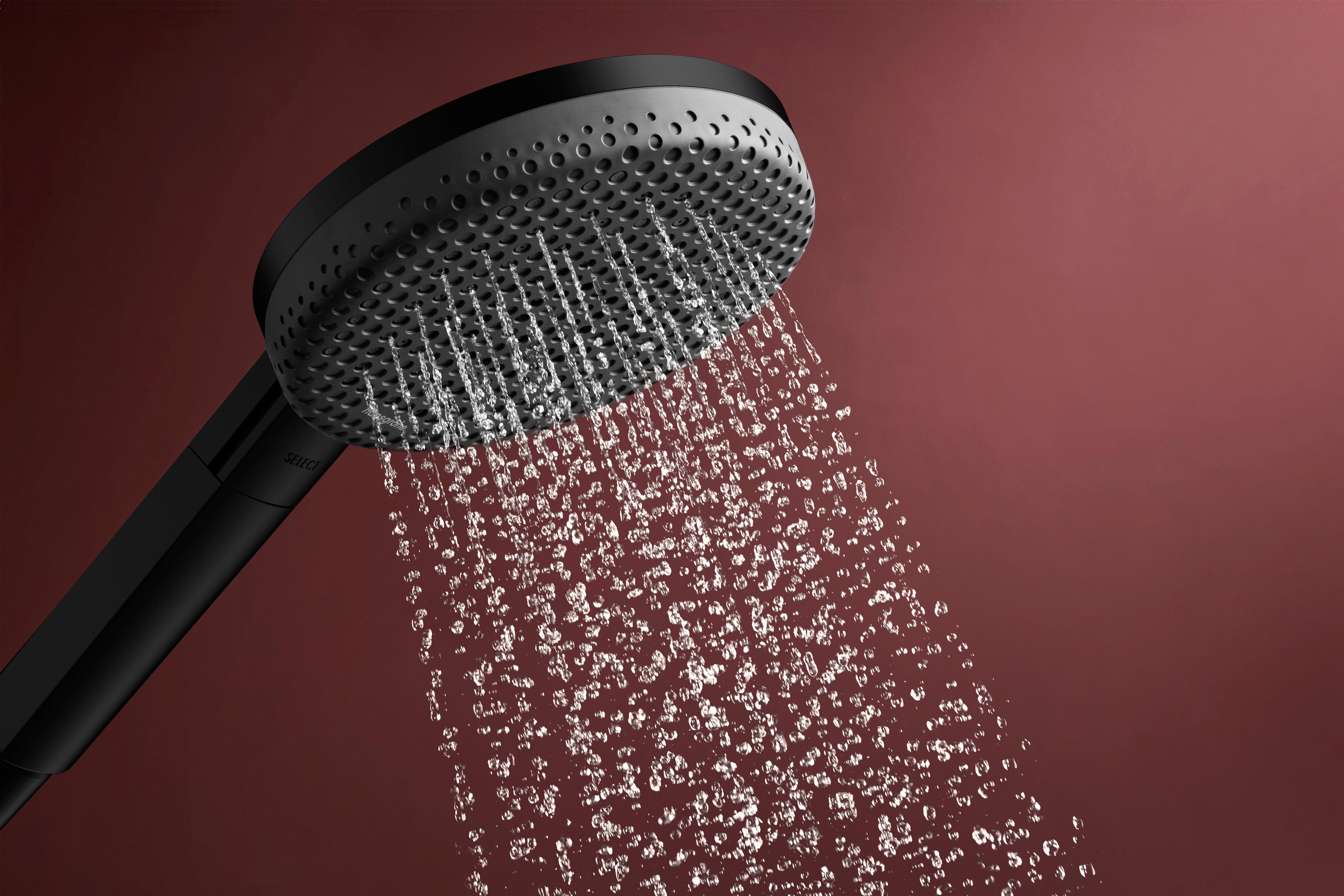 Hansgrohe Raindance Alive Select S Handshower 125  3-Jet 2.5 GPM