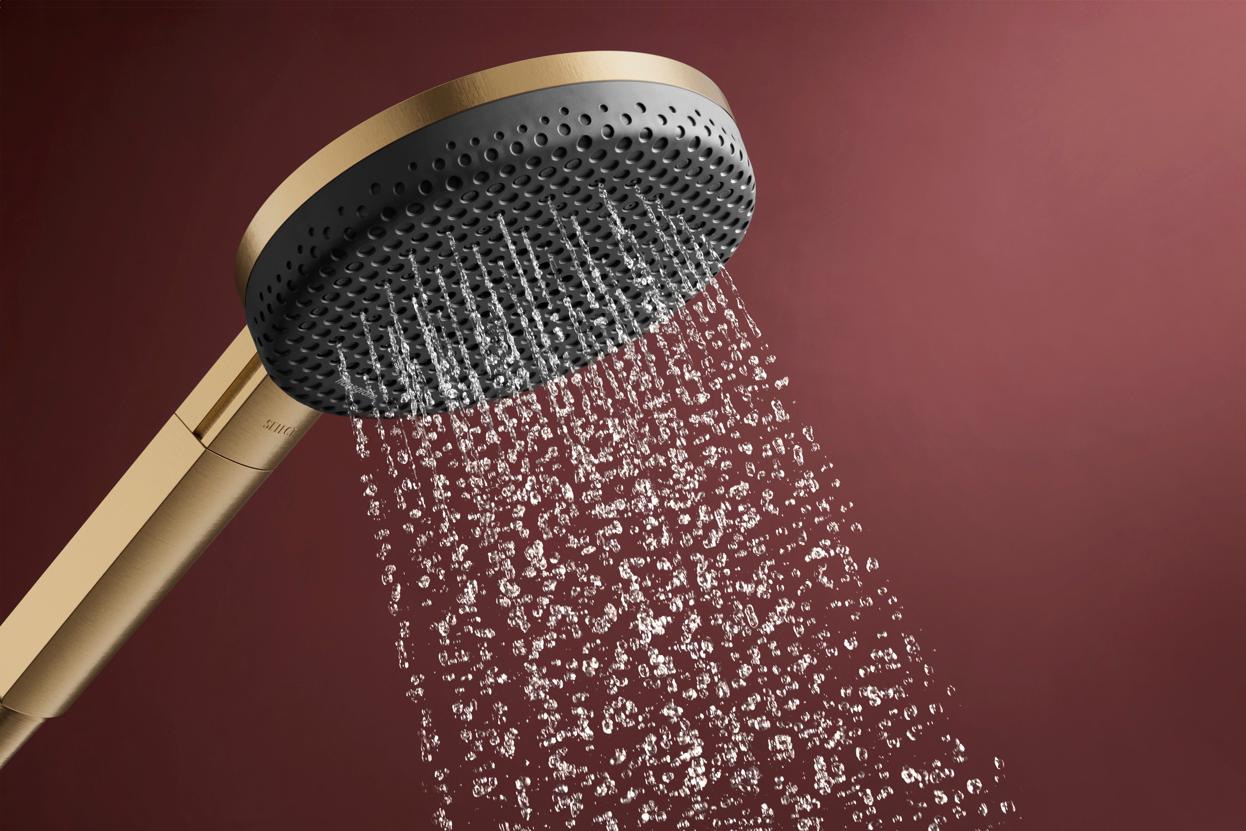 Hansgrohe Raindance Alive Select S Handshower 125  3-Jet 2.5 GPM