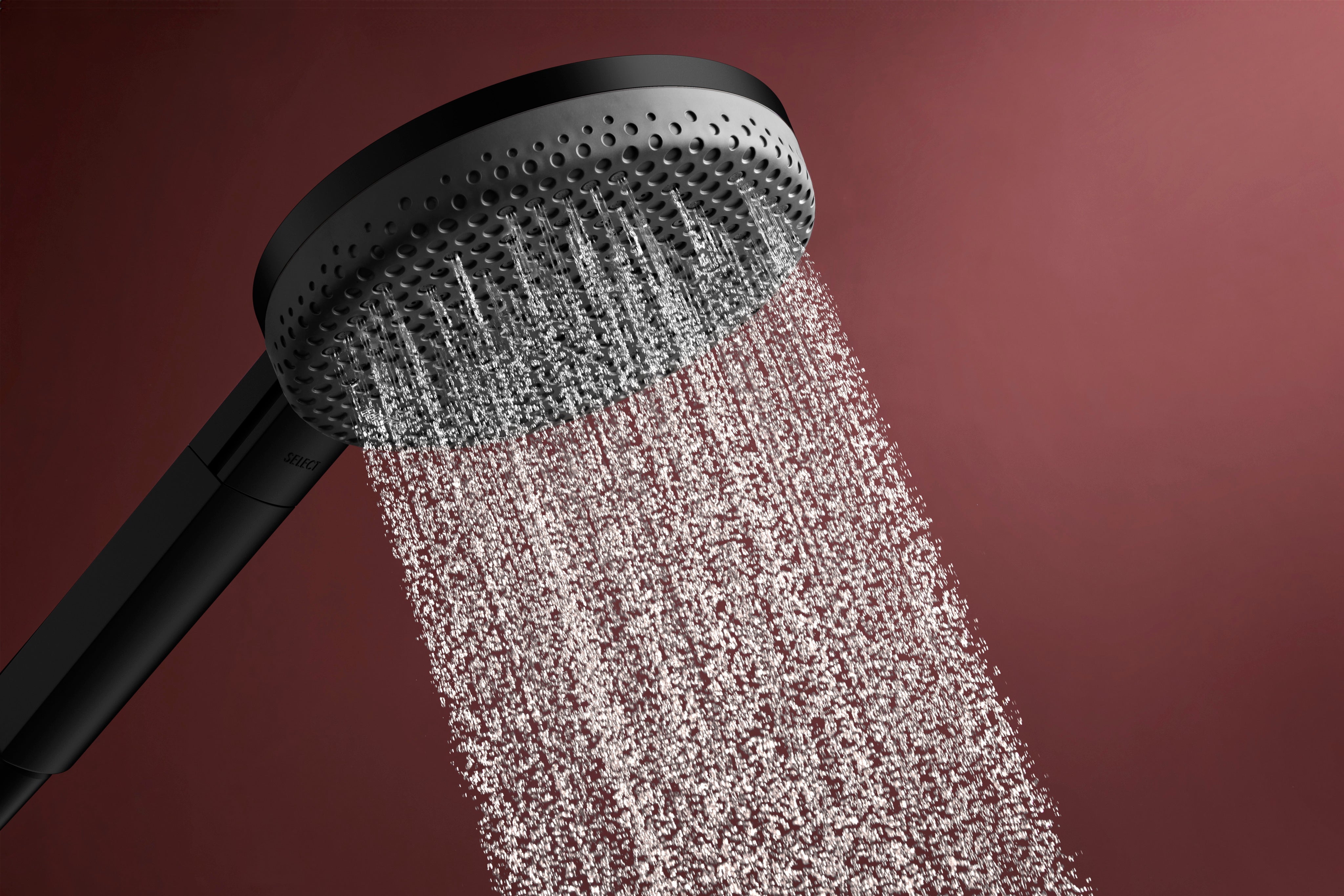 Hansgrohe Raindance Alive Select S Handshower 125  3-Jet 2.5 GPM