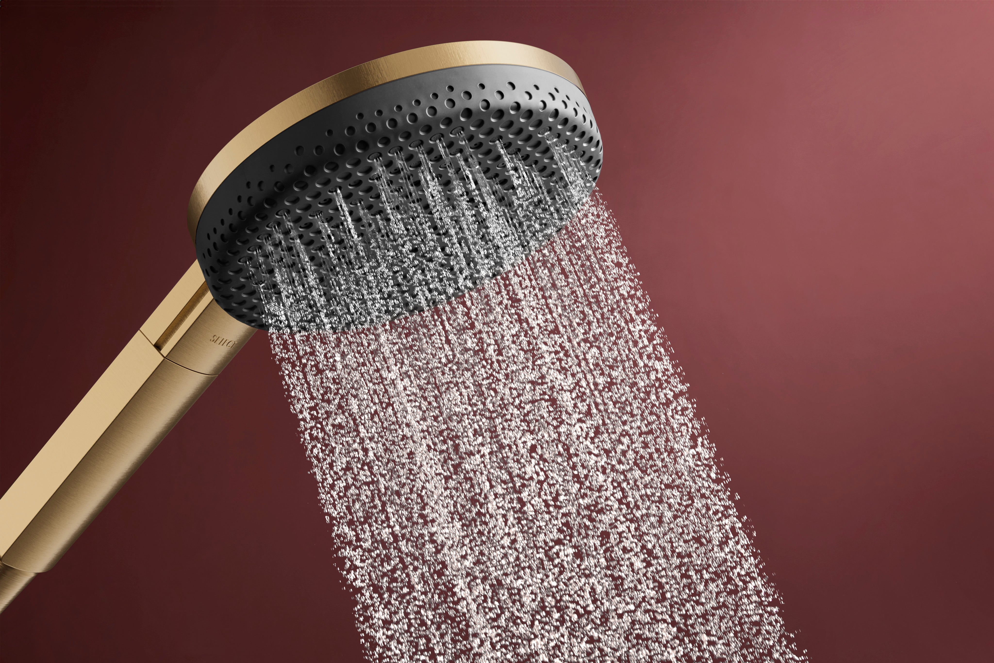 Hansgrohe Raindance Alive Select S Handshower 125  3-Jet 2.5 GPM