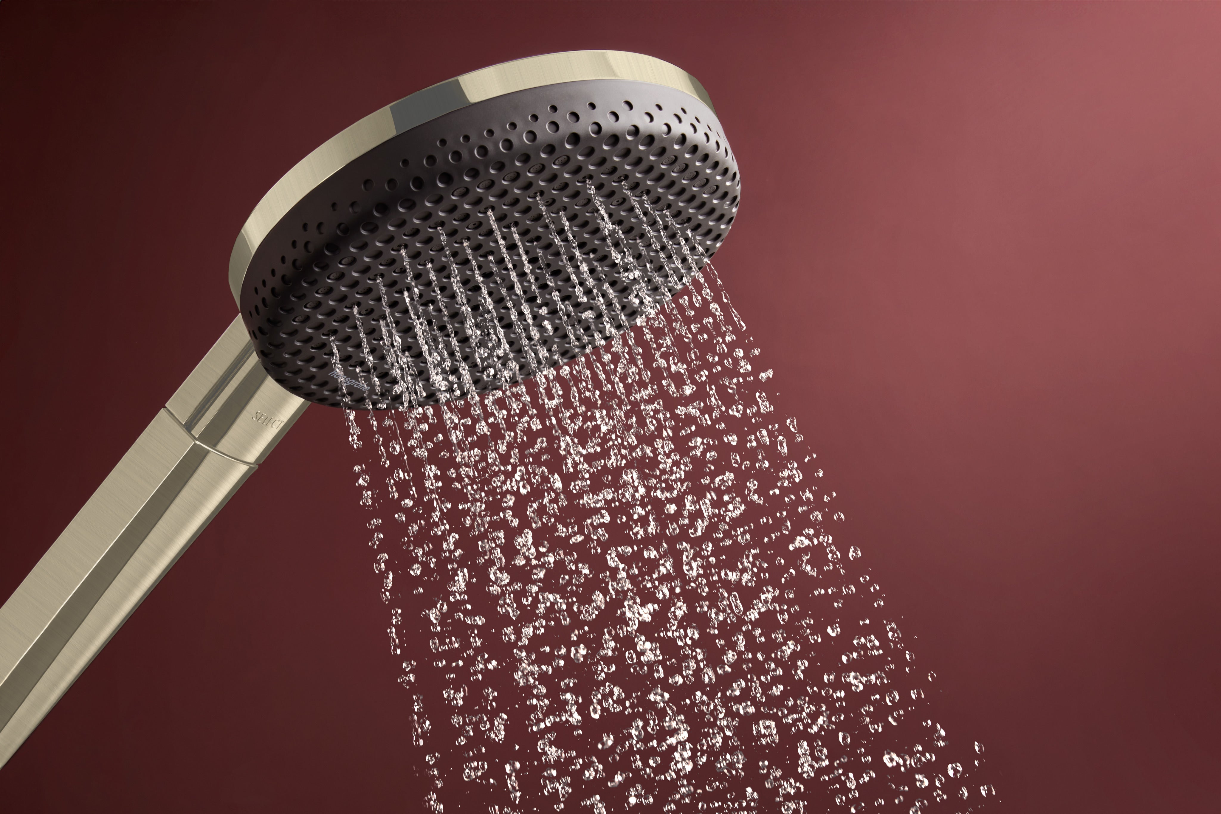 Hansgrohe Raindance Alive Select S Handshower 125  3-Jet 1.75 GPM