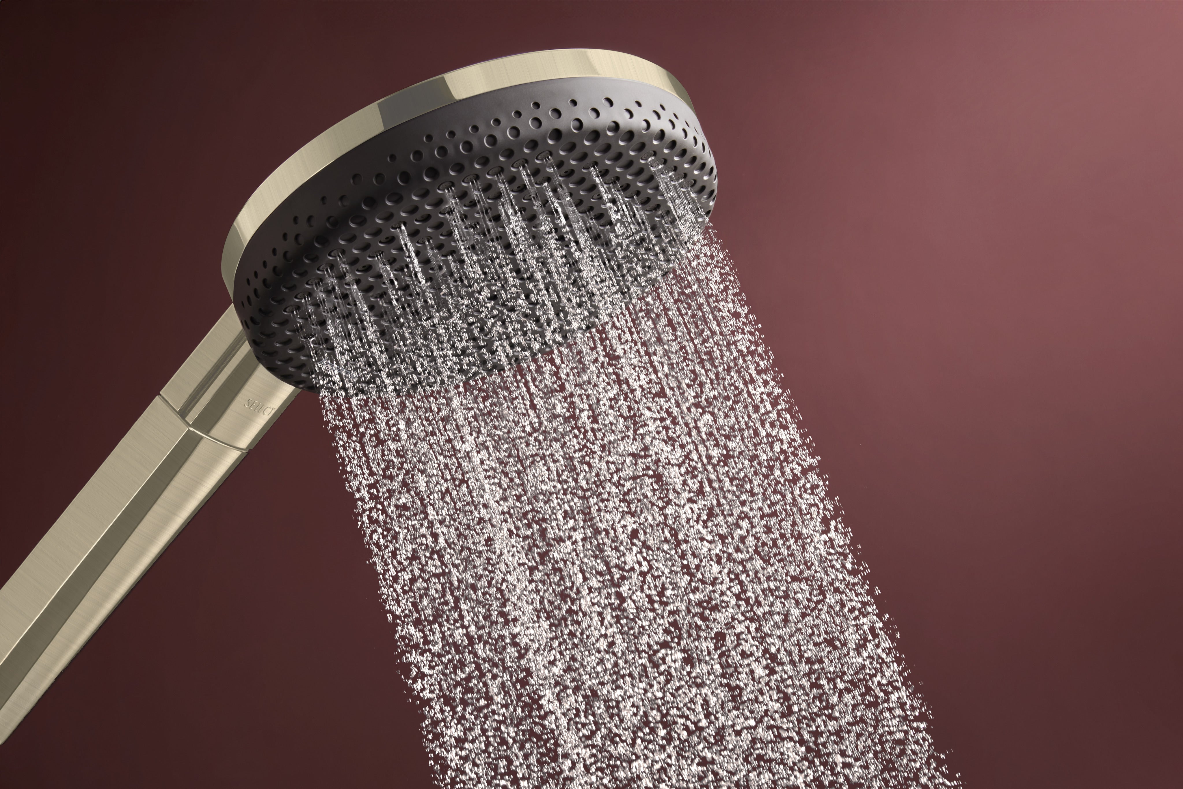 Hansgrohe Raindance Alive S Showerhead 300 2-Jet with Showerarm, 2.5 GPM