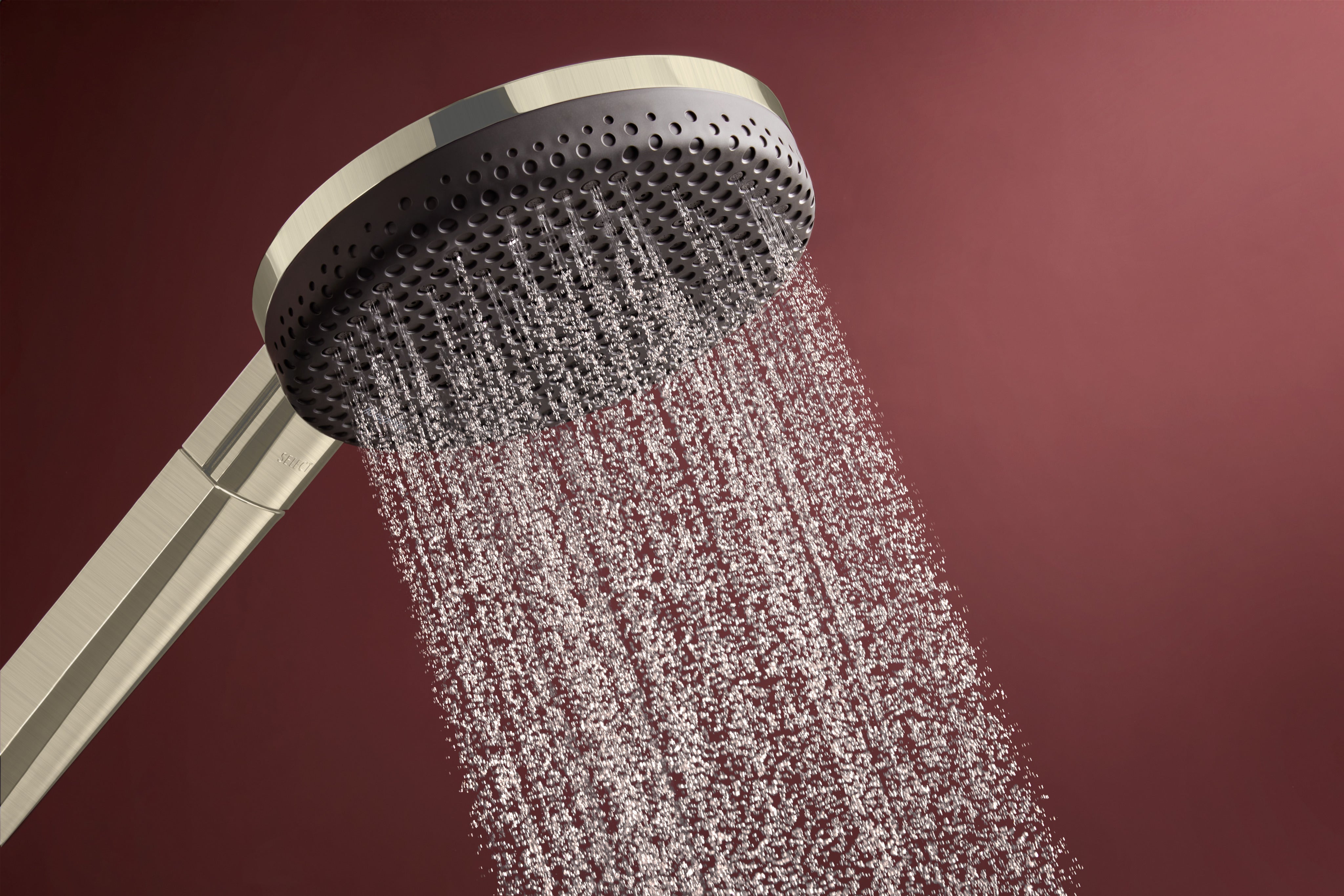 Hansgrohe Raindance Alive Select S Handshower 125  3-Jet 1.75 GPM