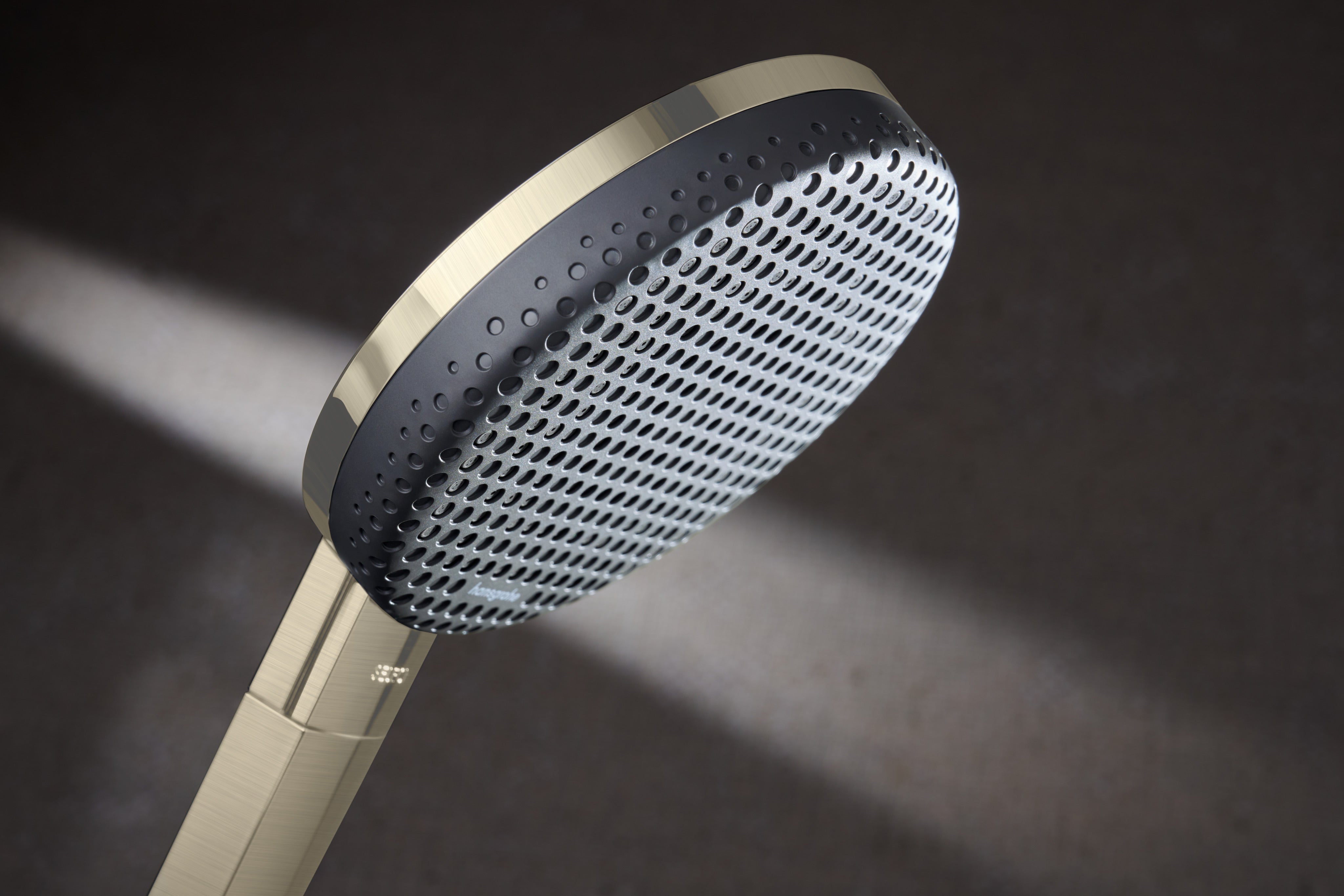 Hansgrohe Raindance Alive Select S Handshower 125  3-Jet 2.5 GPM