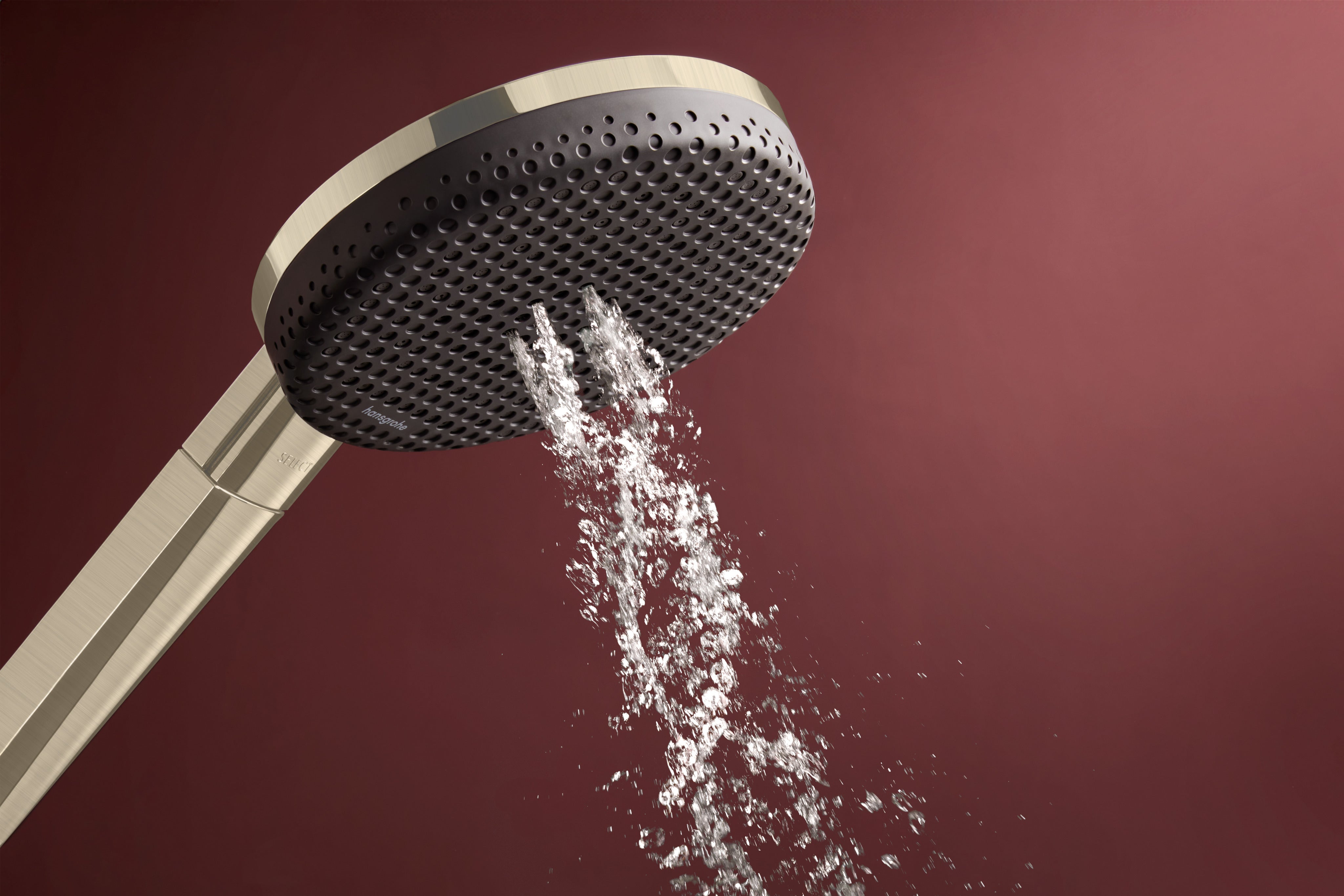 Hansgrohe Raindance Alive Select S Handshower 125  3-Jet 1.75 GPM