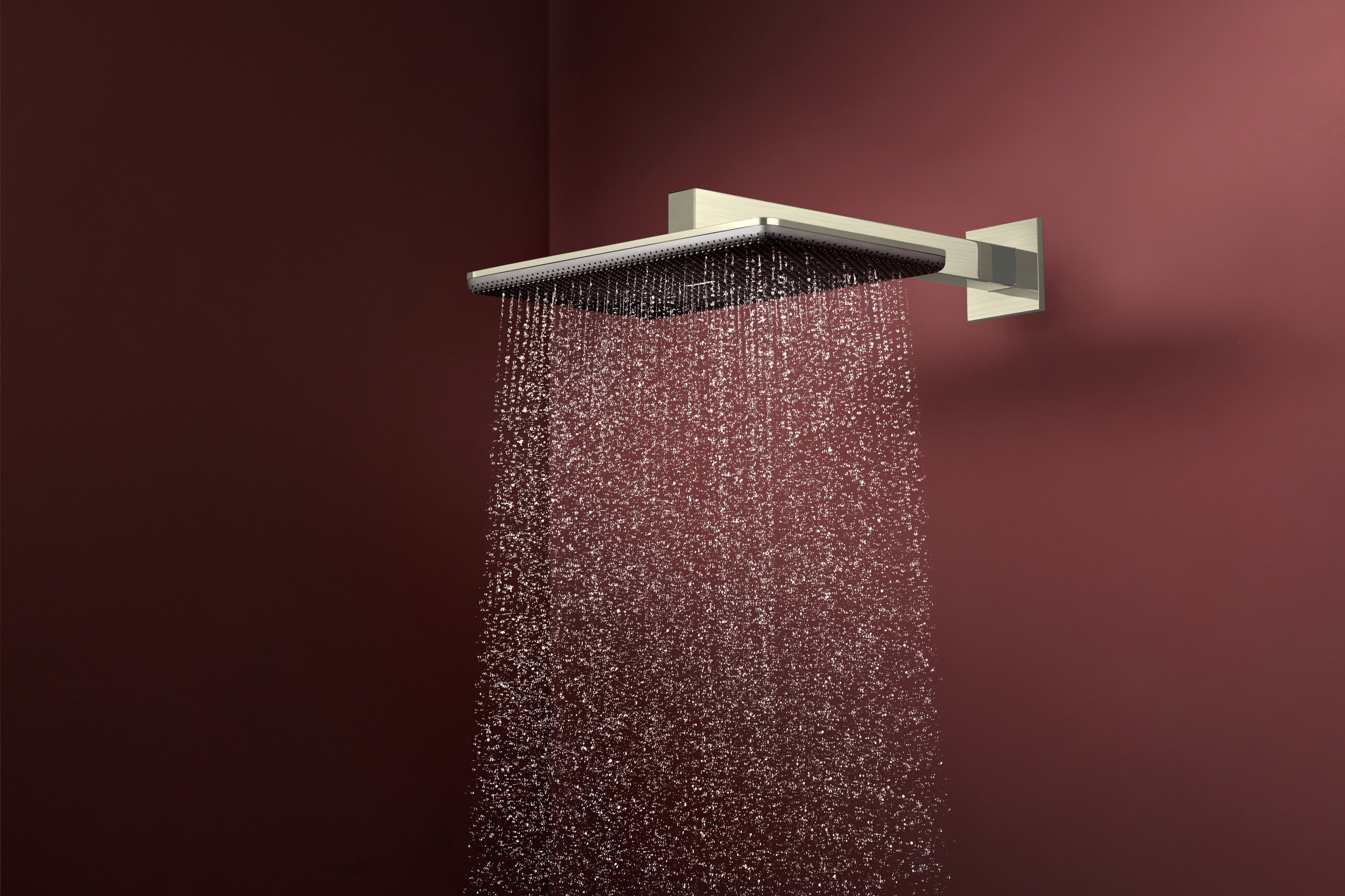 Hansgrohe Raindance Alive Q Showerhead 210/340 2-Jet with Showerarm, 2.5 GPM