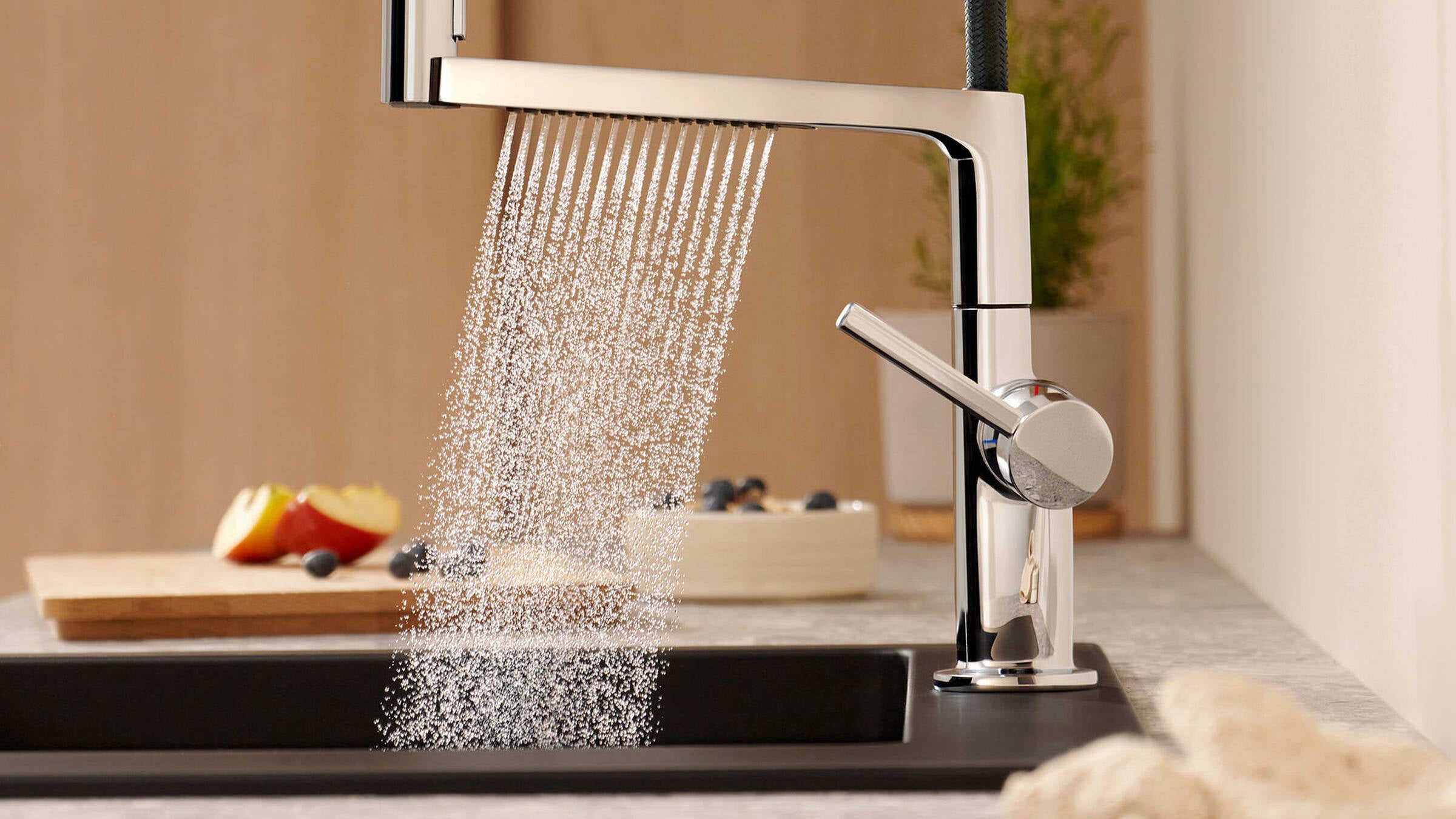 Talis N Semi-Pro PowderSpray Kitchen Faucet 1.75 GPM