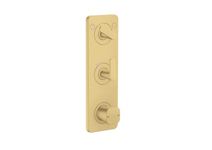 AXOR Citterio C Thermostatic Module Trim 15" x 5" for 2 Functions