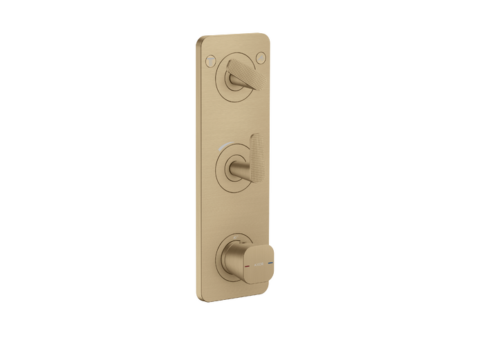AXOR Citterio C Thermostatic Module Trim 15" x 5" for 2 Functions- Cubic Cut