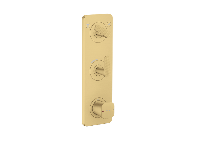 AXOR Citterio C Thermostatic Module Trim 15" x 5" for 2 Functions- Cubic Cut