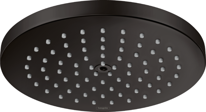 Raindance S Showerhead 180 1-Jet PowderRain, 2.5 GPM