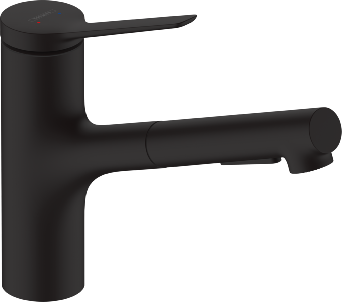Zesis Kitchen Faucet 2-Spray, Pull-Out, 1.75 GPM