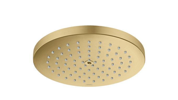 Raindance S Showerhead 180 1-Jet PowderRain, 2.5 GPM